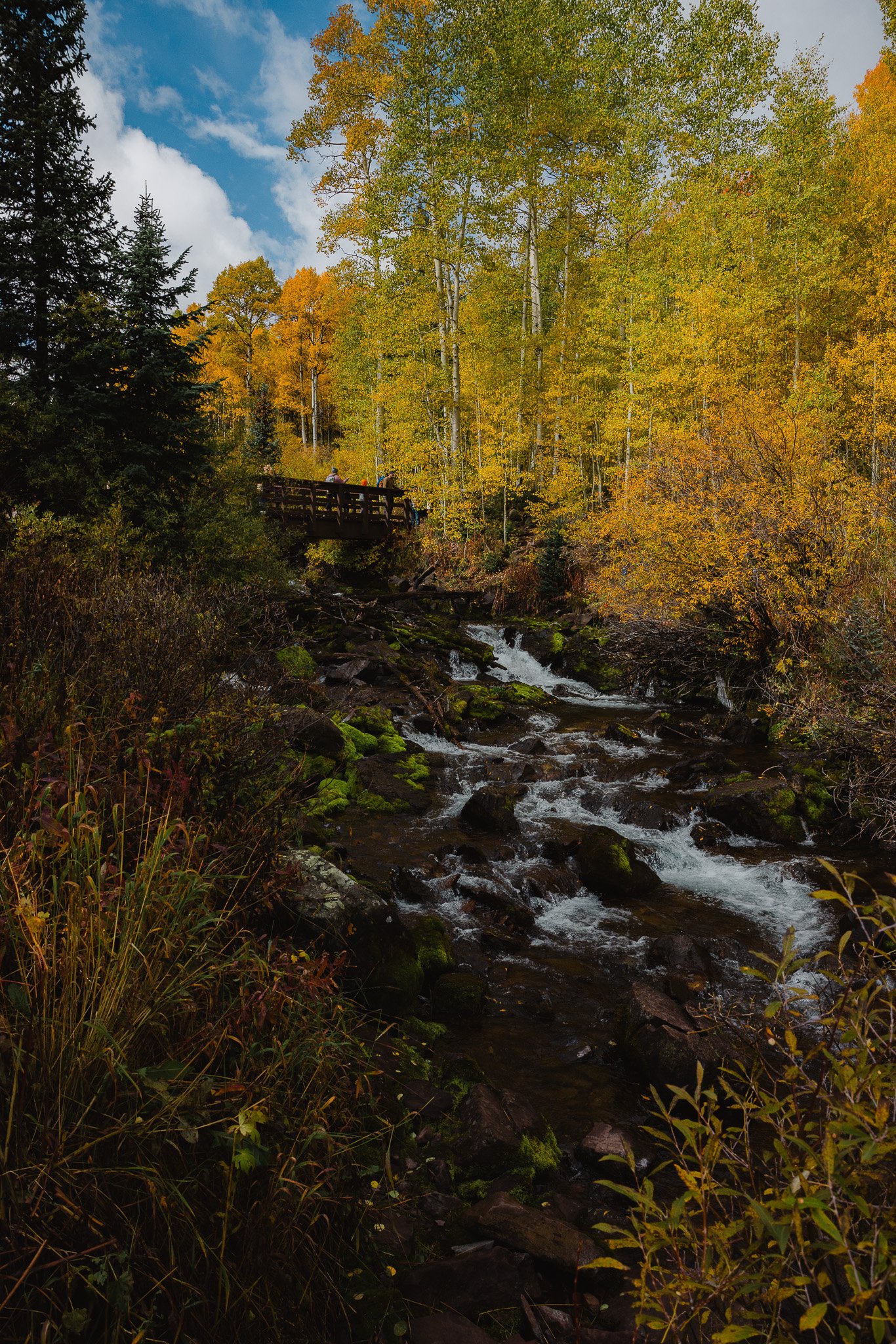 A scenic bridge on the scenic loop