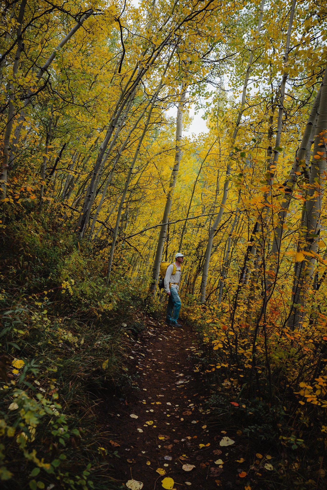 Stopping to take in all of the leaves changing