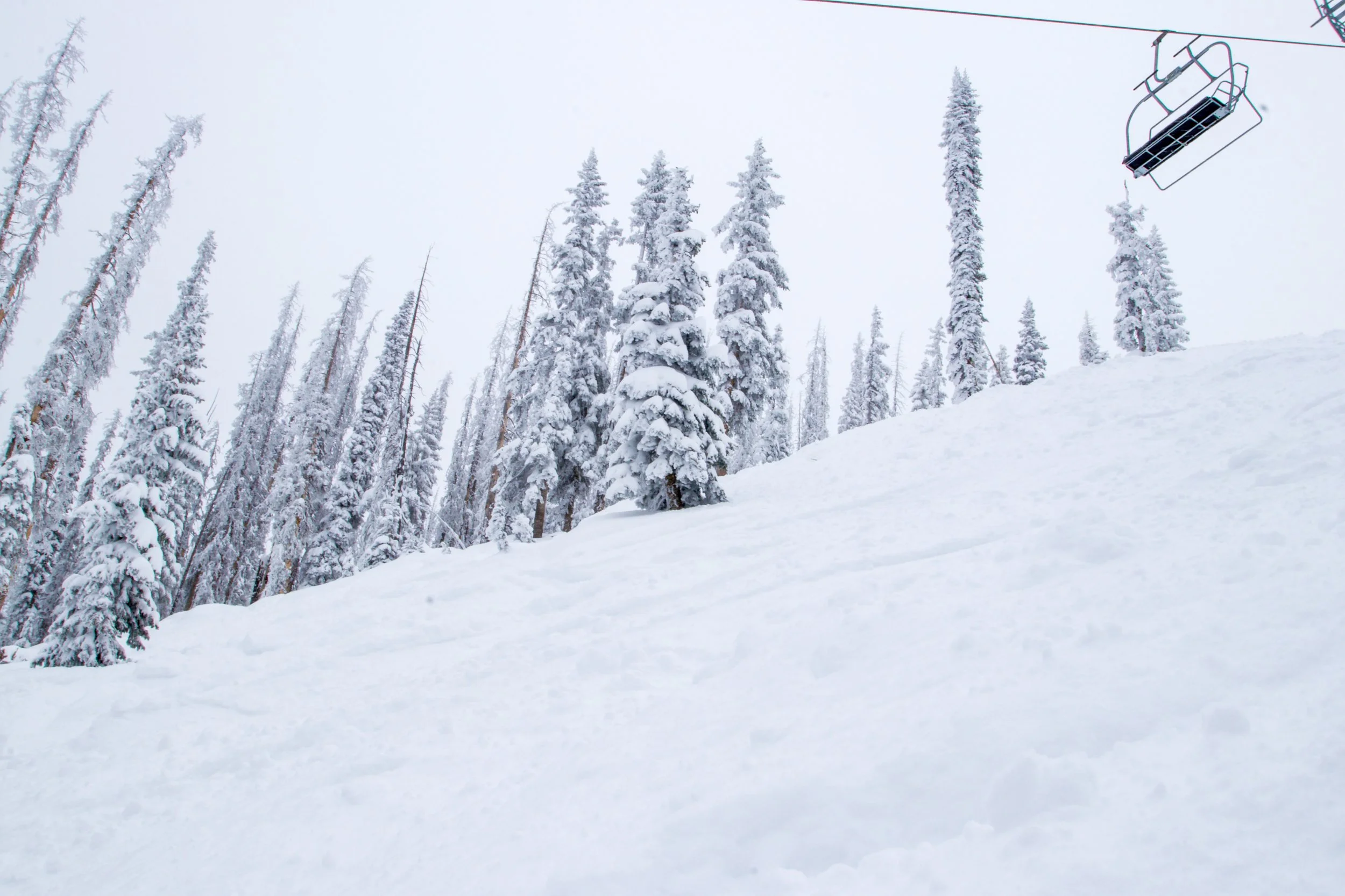 Everything to know about Wolf Creek Ski Resort, A complete Guide — The