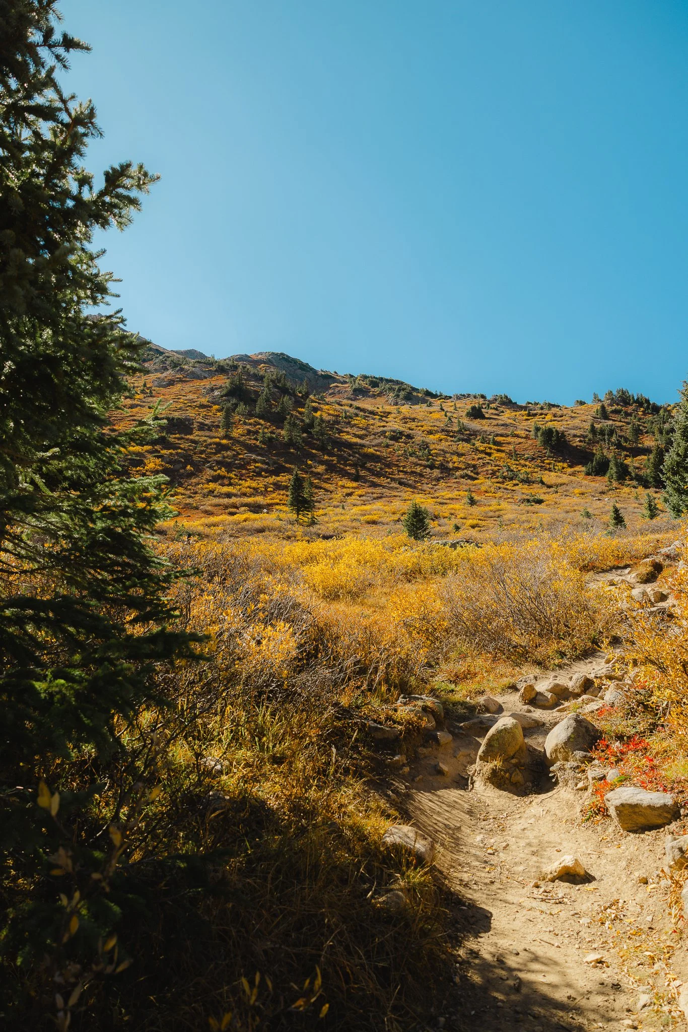 Beautiful Fall Colors as you start your hike