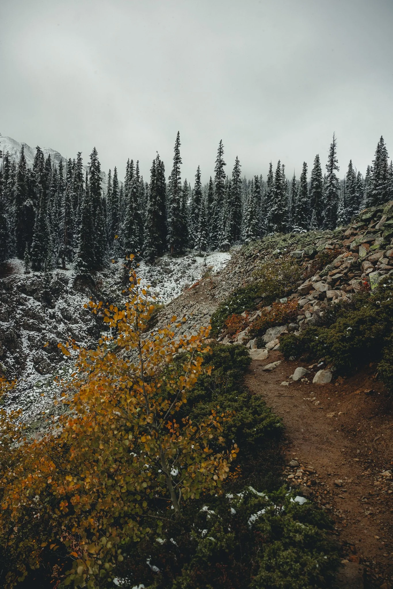 a narrow trail over a rocky area