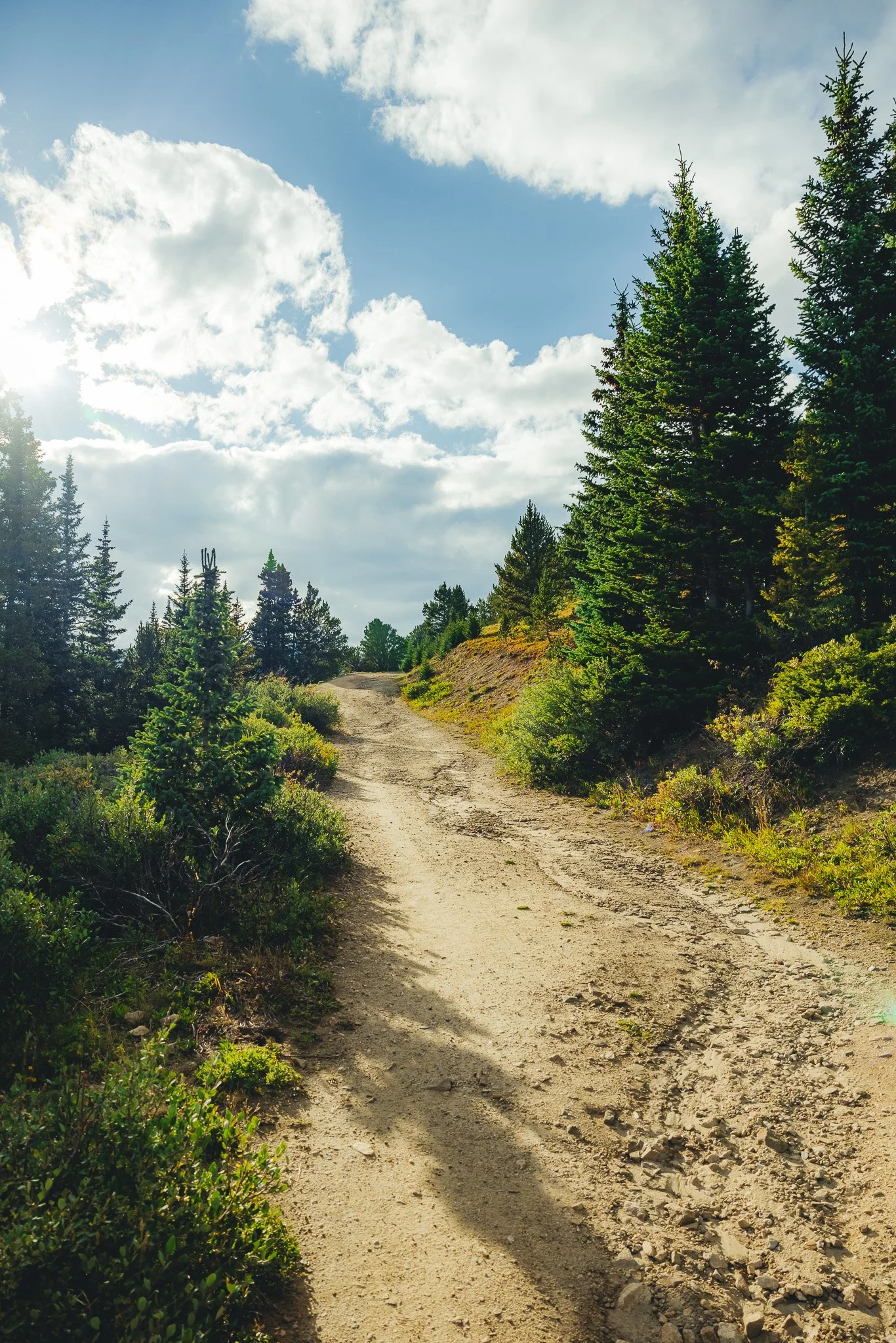 A sunny summer day to start the trail