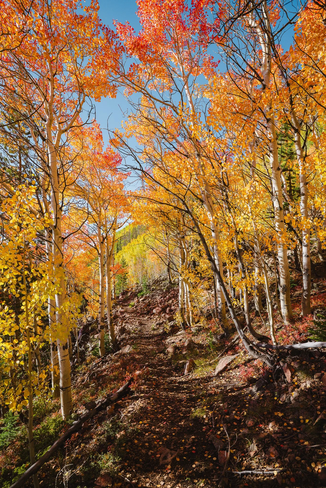 A perfect autumn day in the Colorado mountains