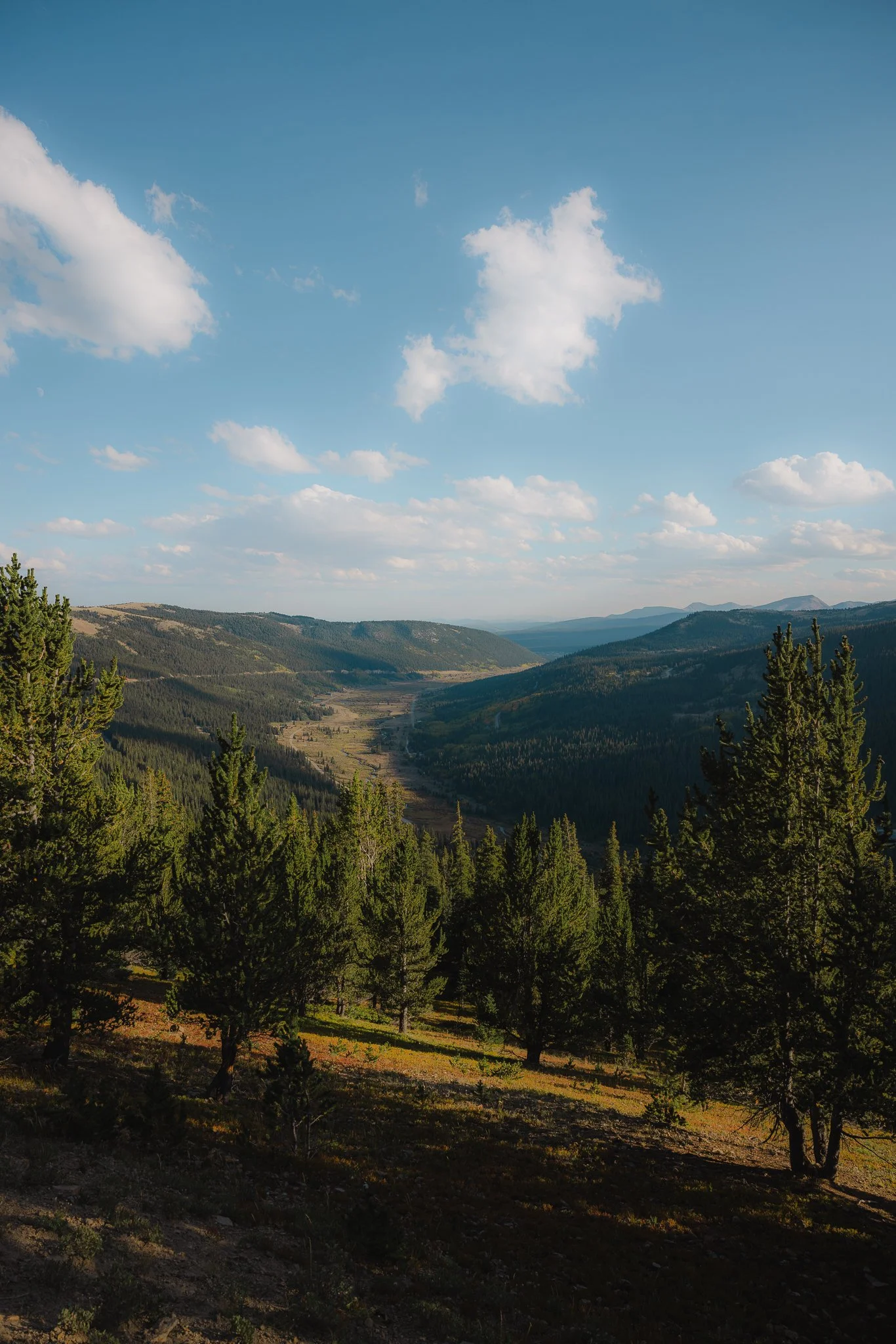 Views of Alma and Park County