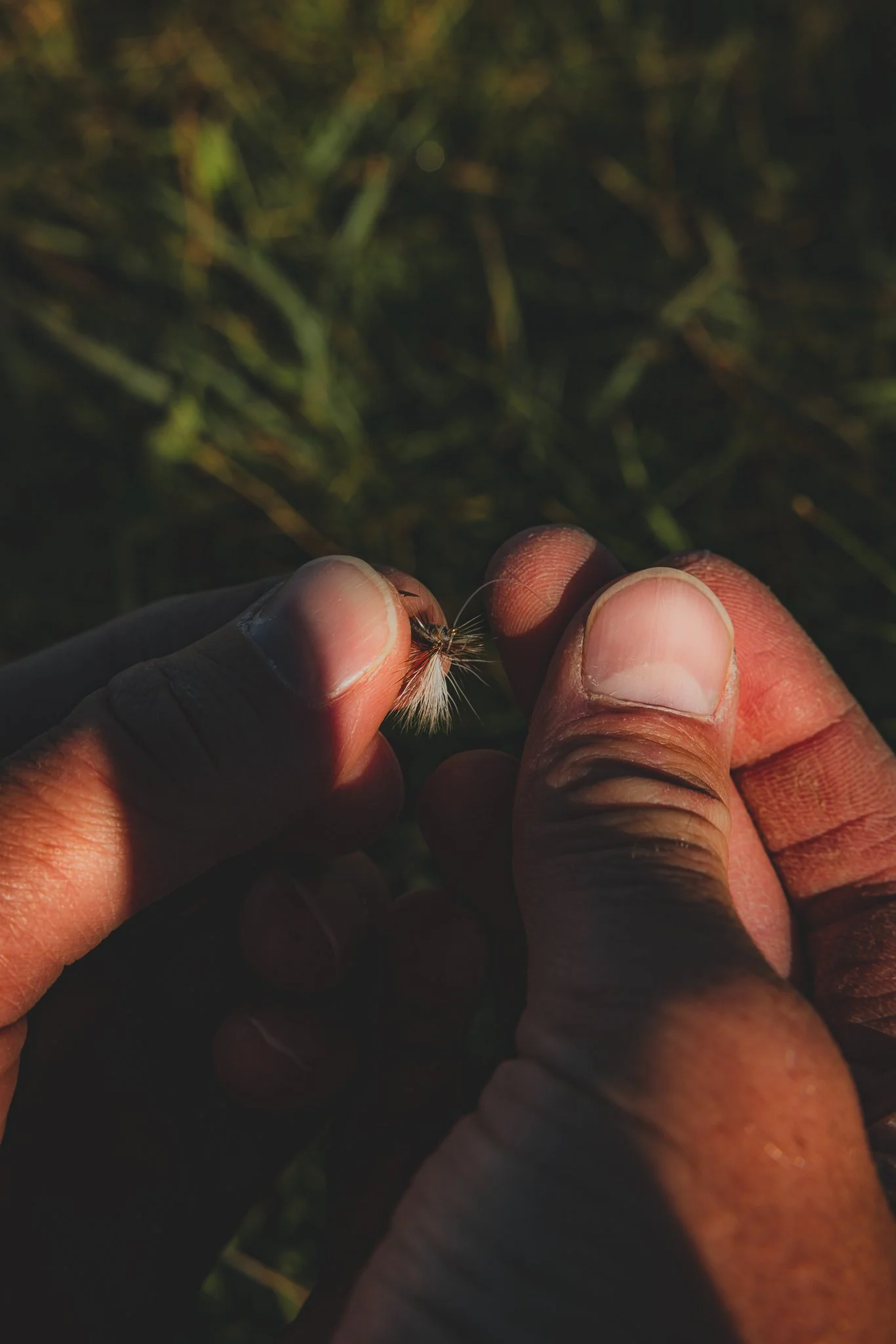 Upriver and Ark Anglers fly shops