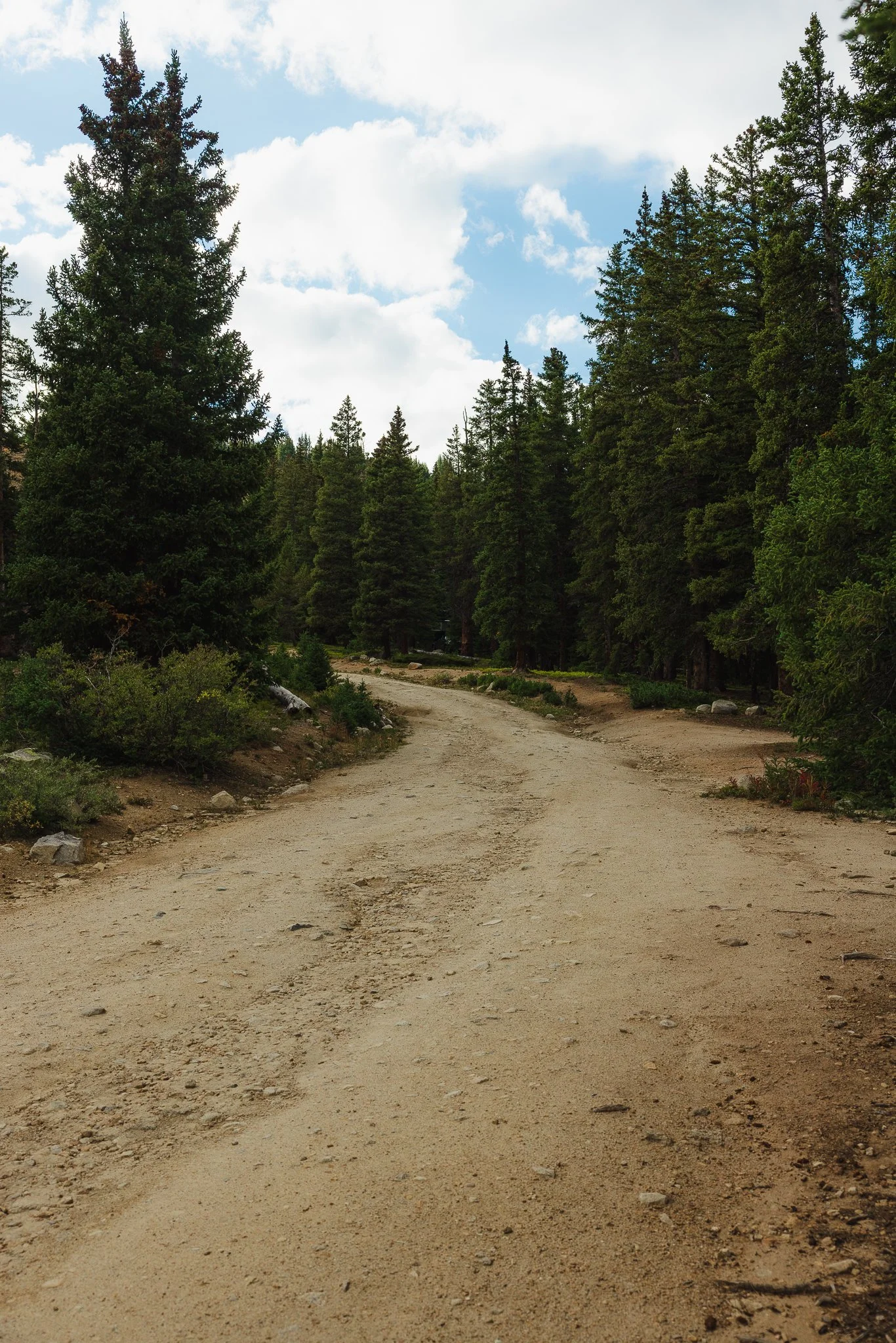 A dirt road to start the trail
