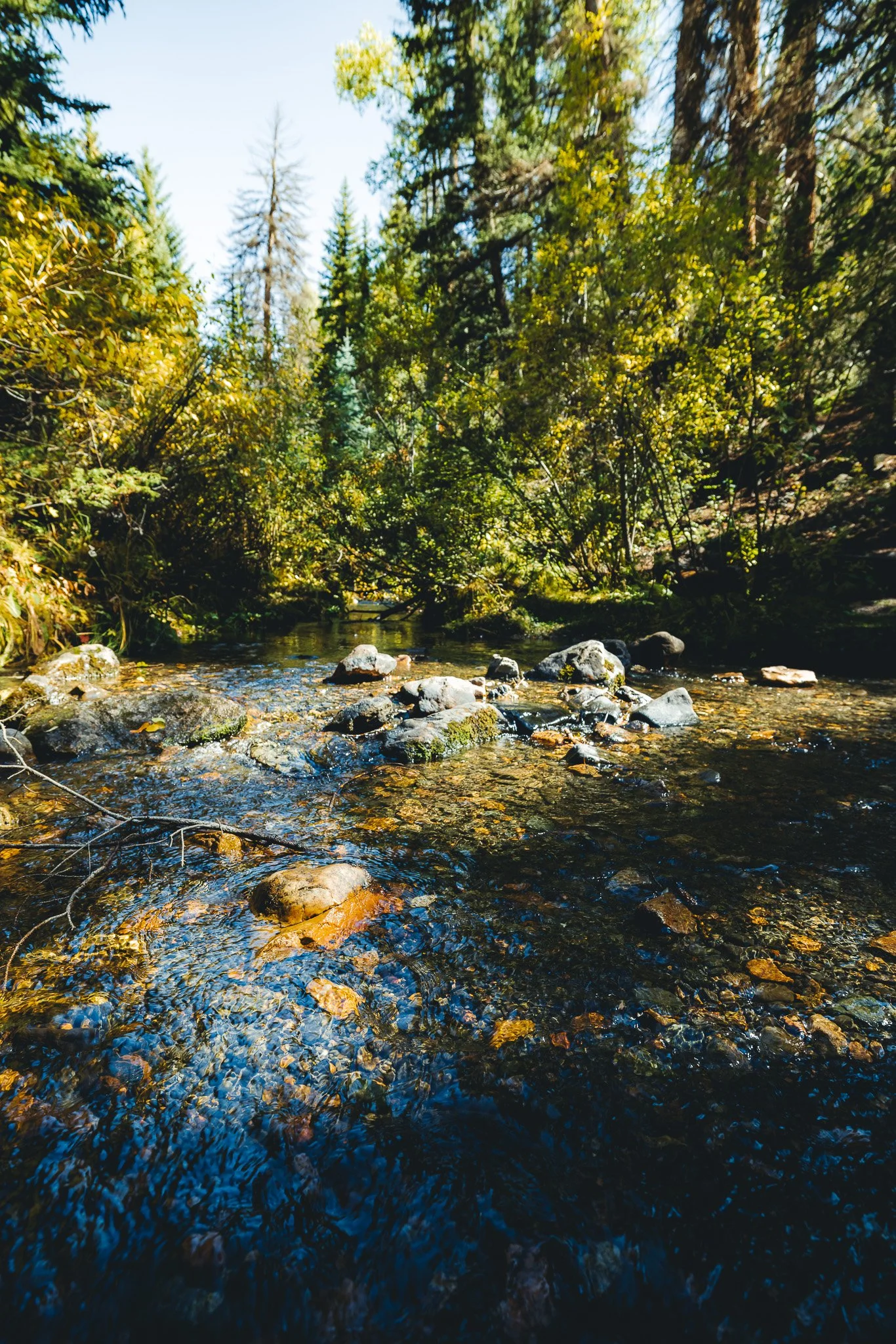 A creek bed on the hike