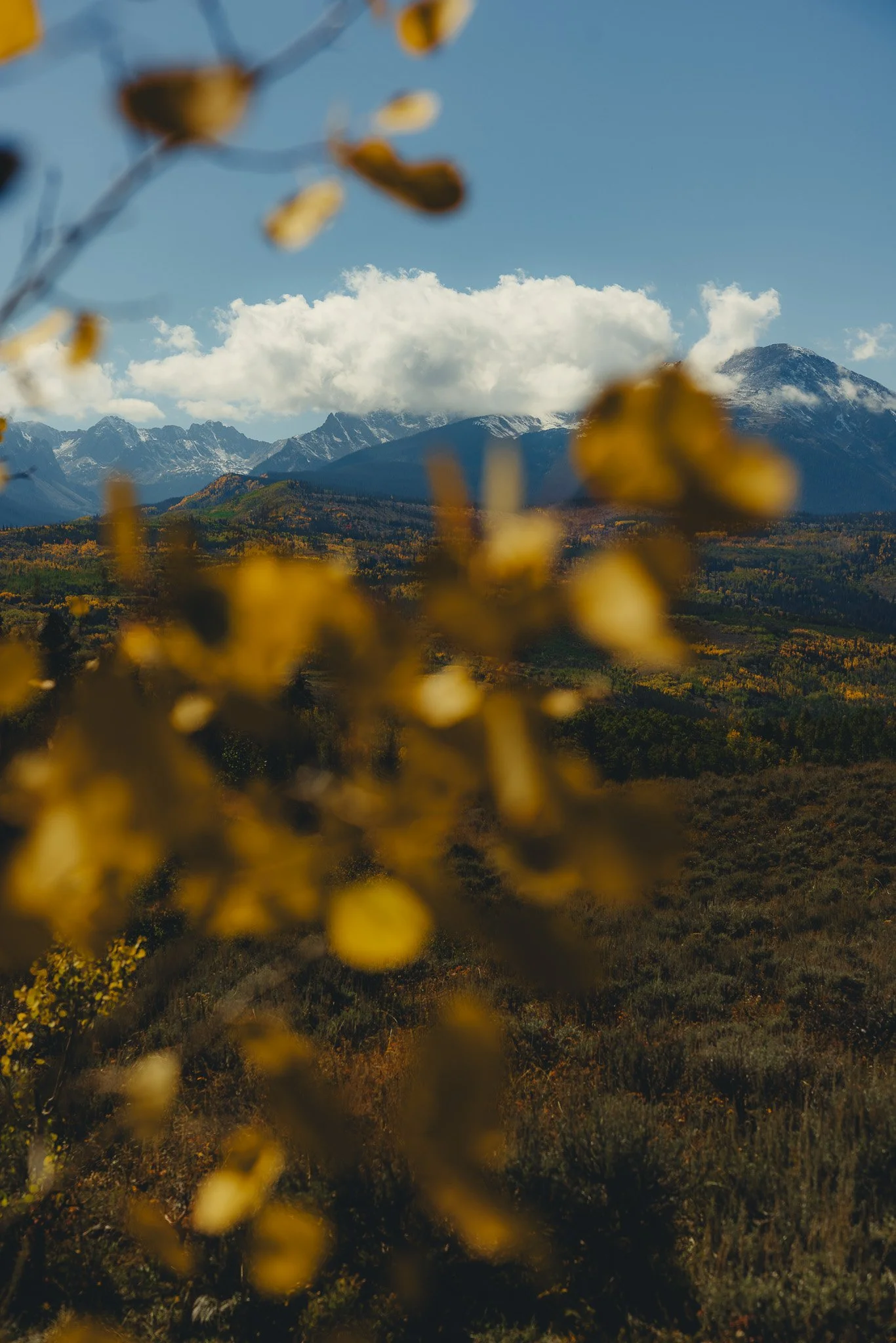 Colorado fall colors with a mountain backdrop