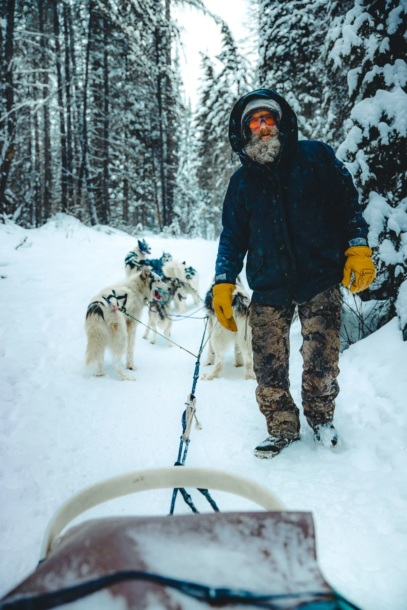 Jeff the owner, giving the dogs a break