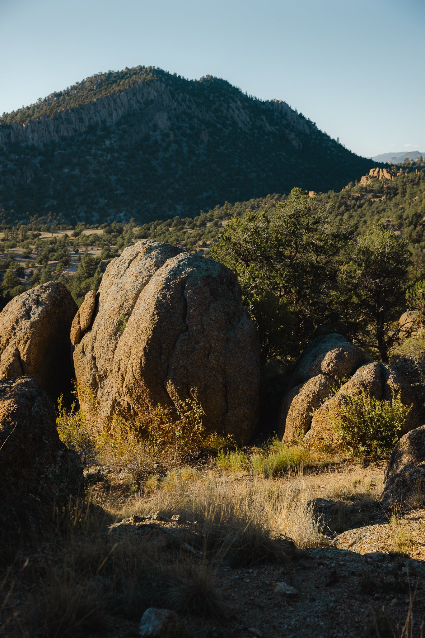 Ruby Mountain recreation