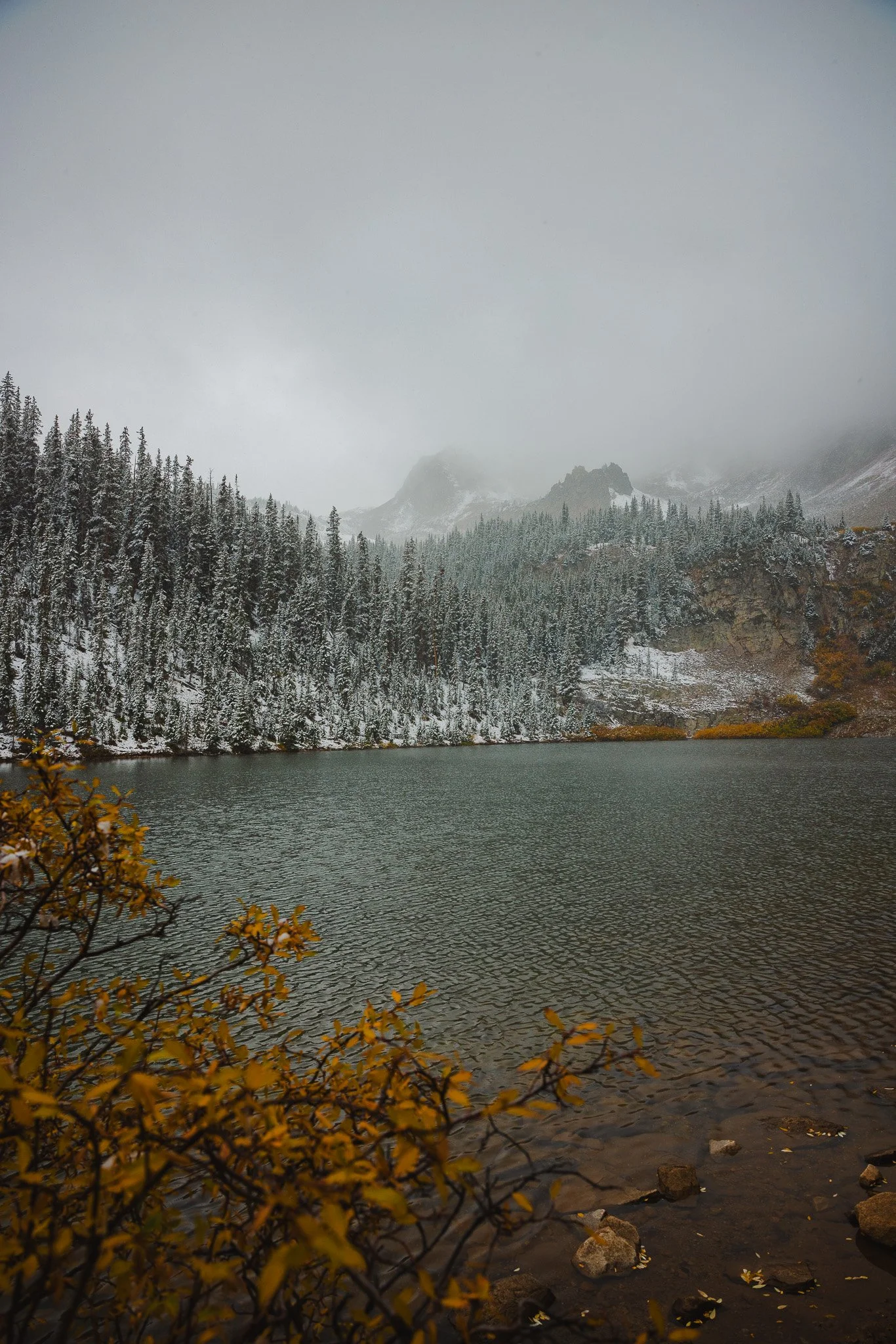 a snowy frosty afternoon at the lake