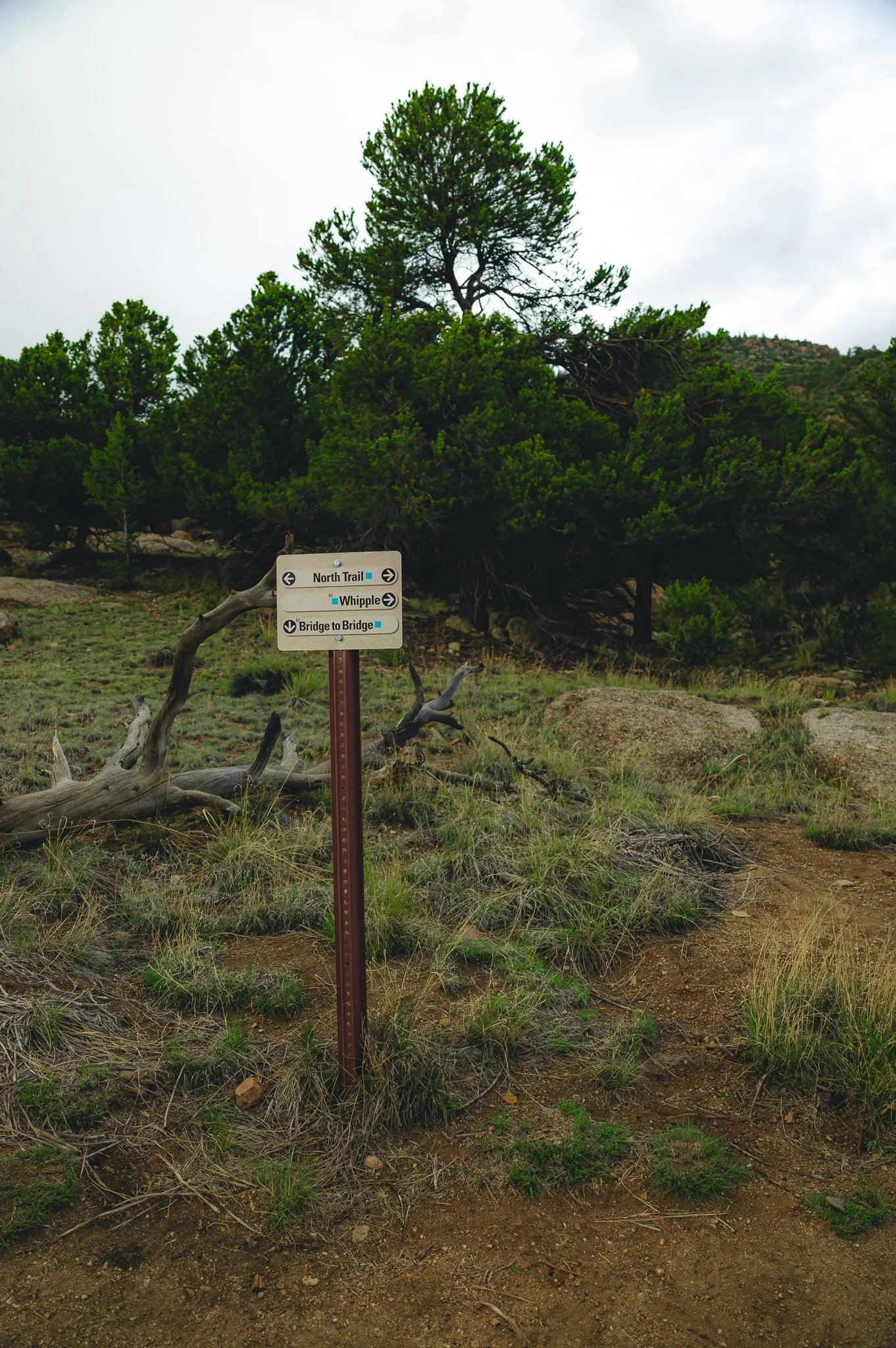 All season hiking trails