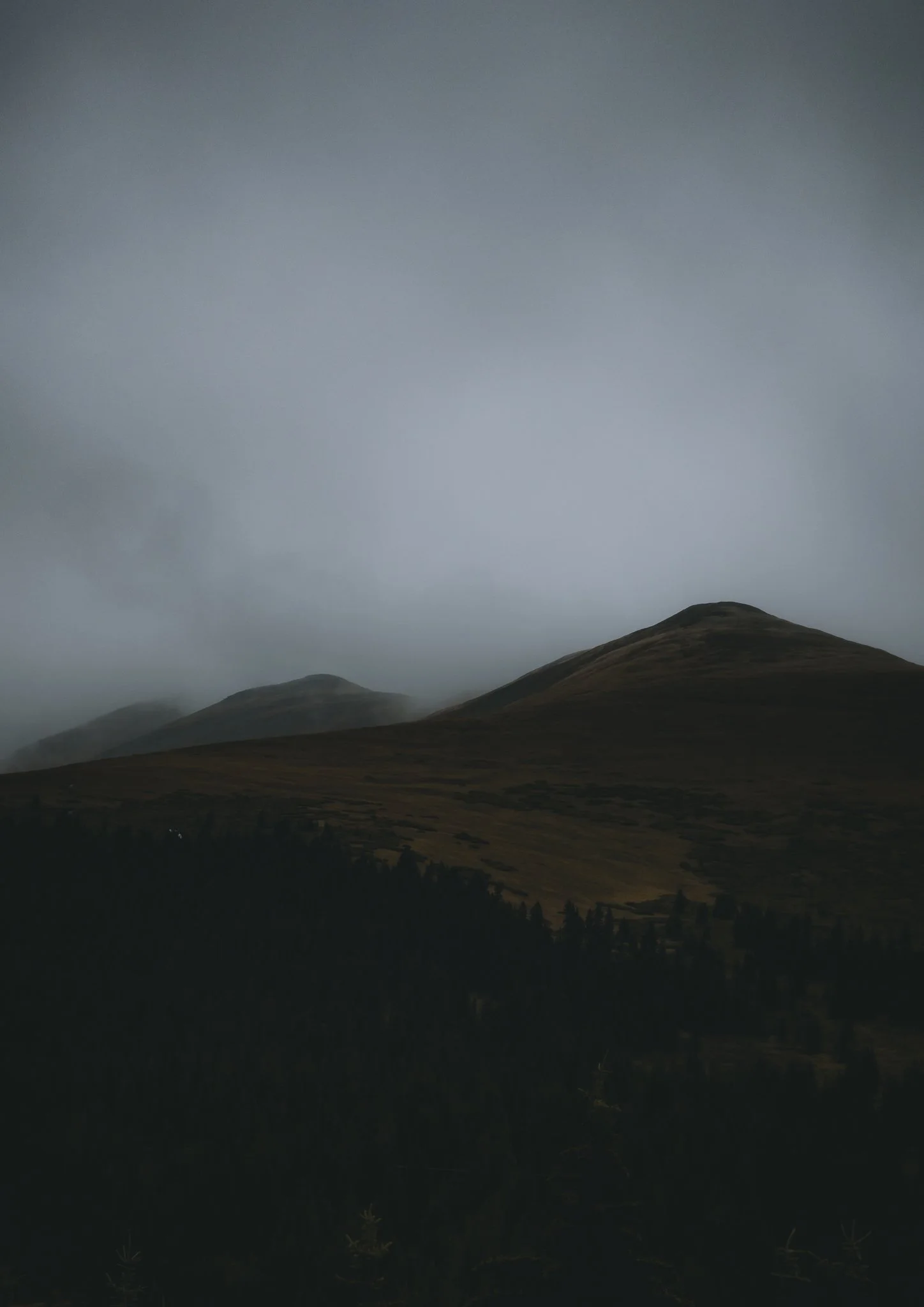 A moody summer day