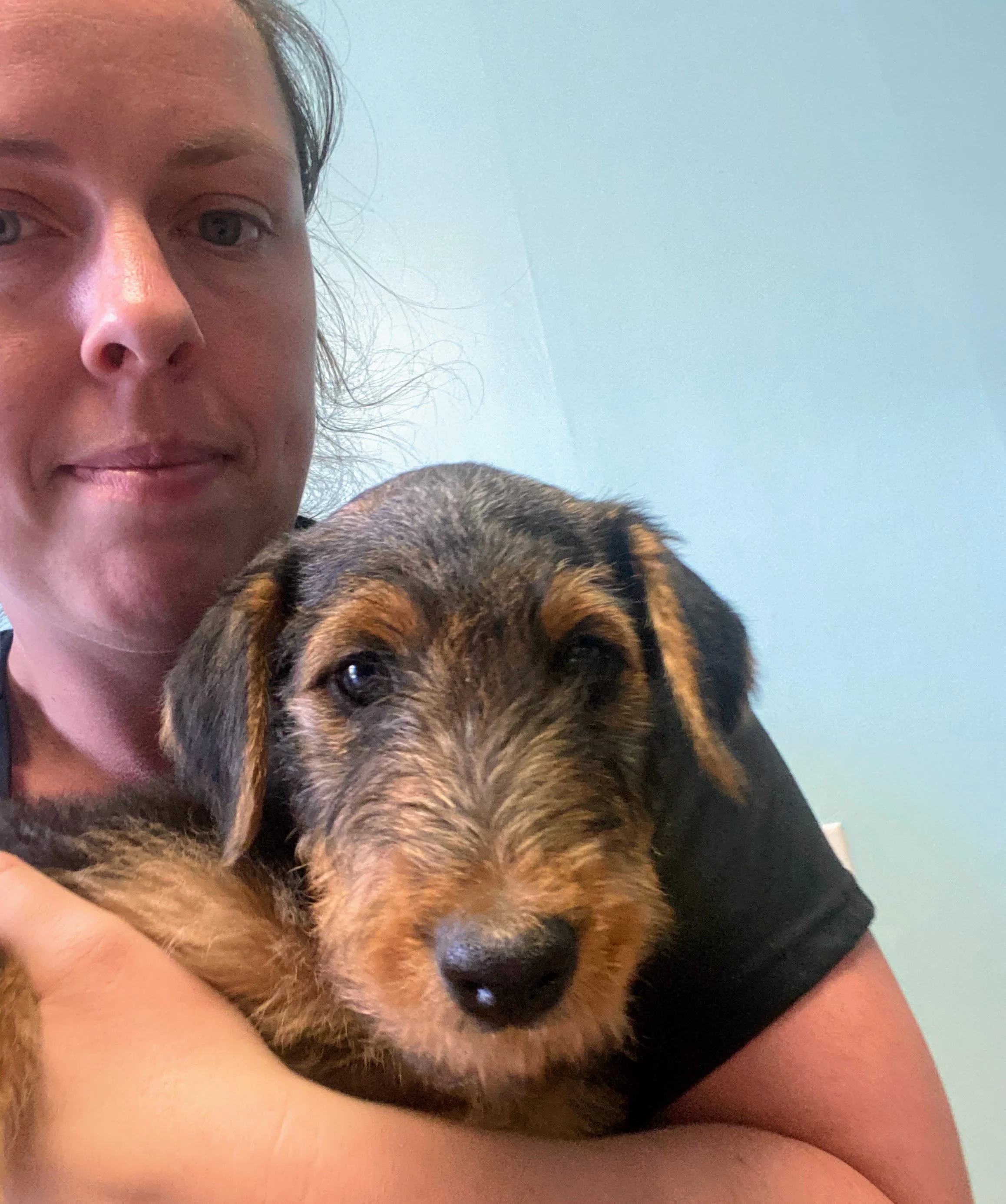 A woman holding an Airedale puppy, against a light blue background.