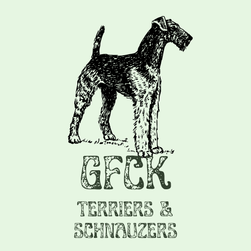 Green Family Companion Terriers &amp; Schnauzers