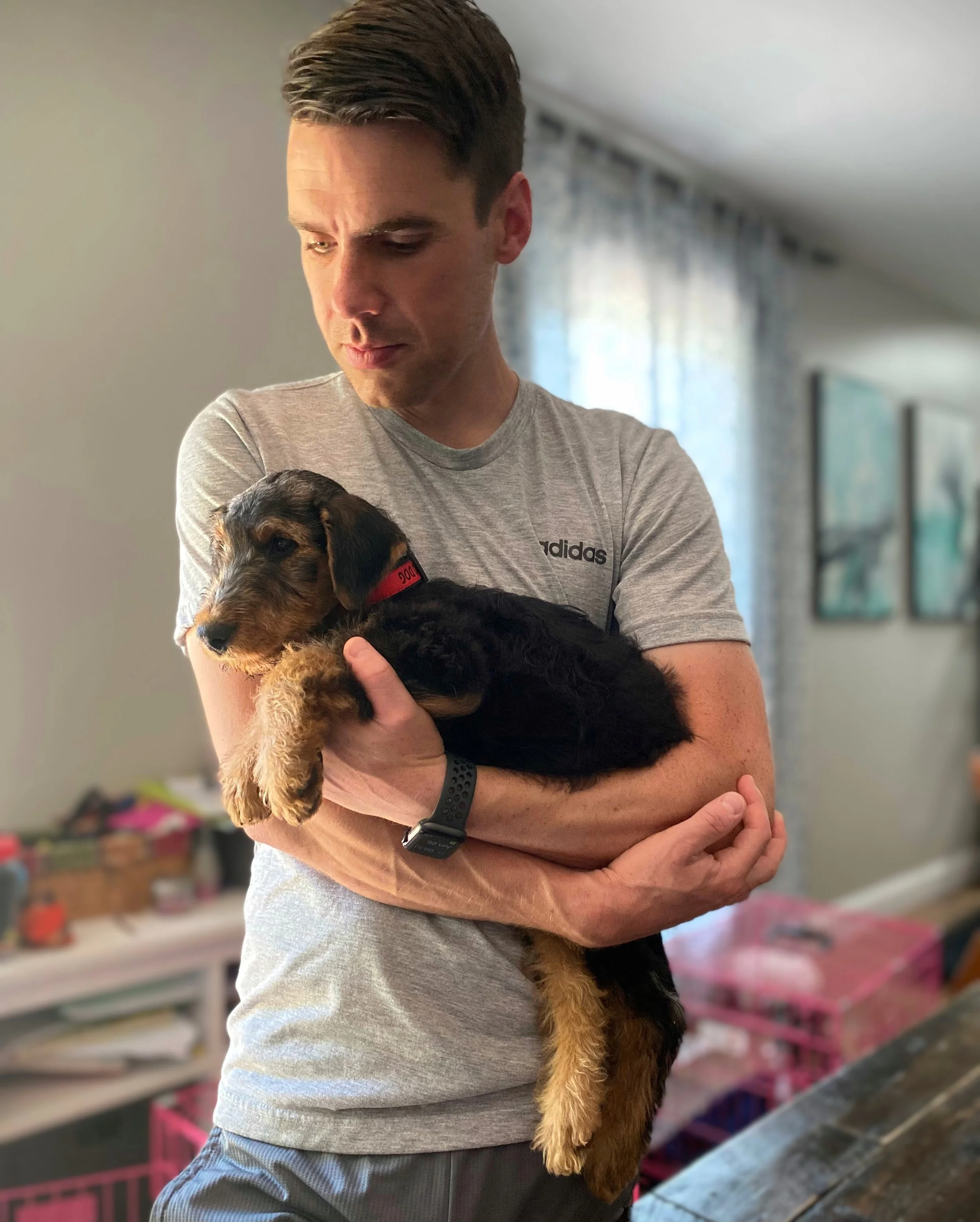 A man holding a small black and brown puppy indoors. An 8 week old Airedale Terrier puppy.