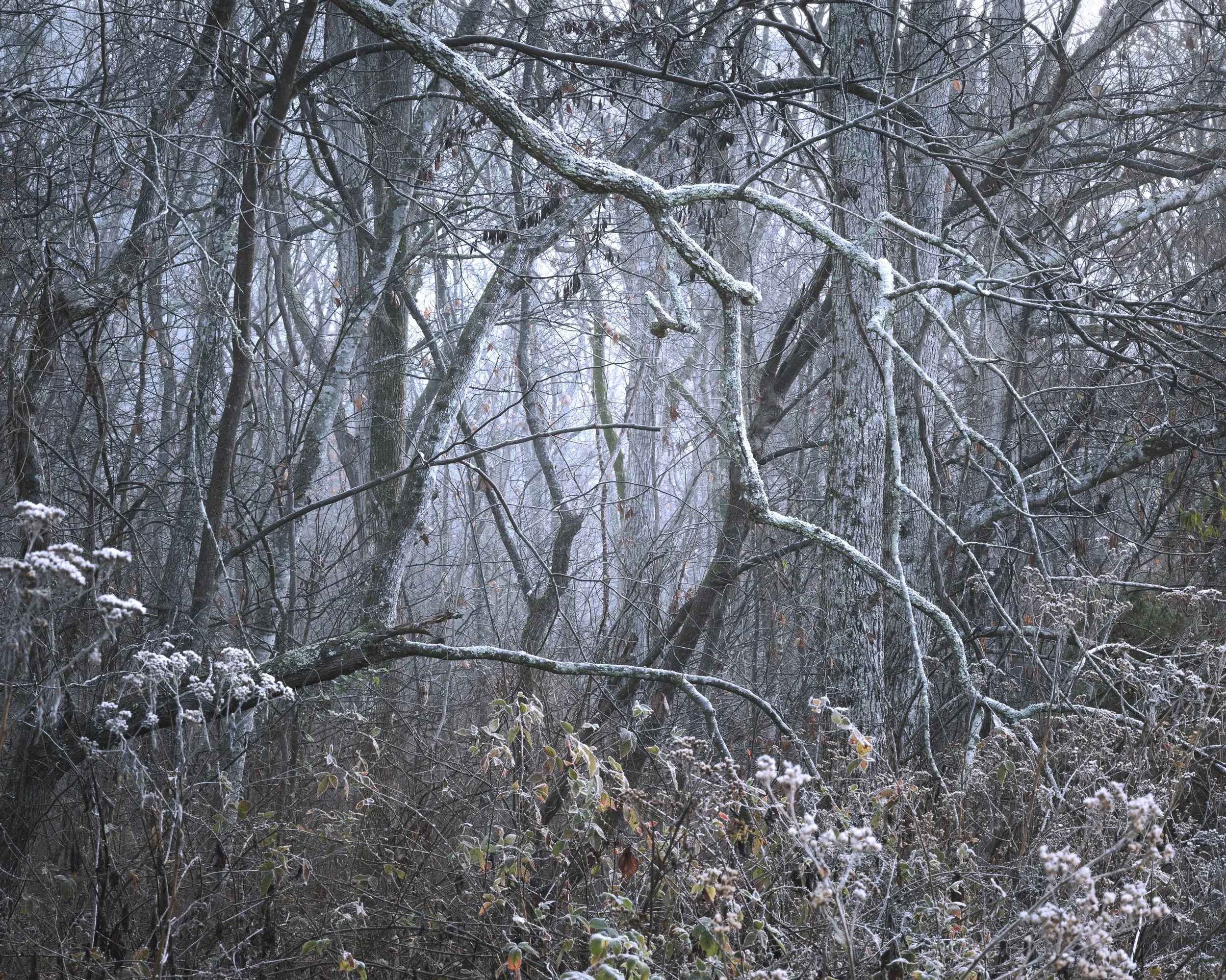 Bygone, 12/7/25
