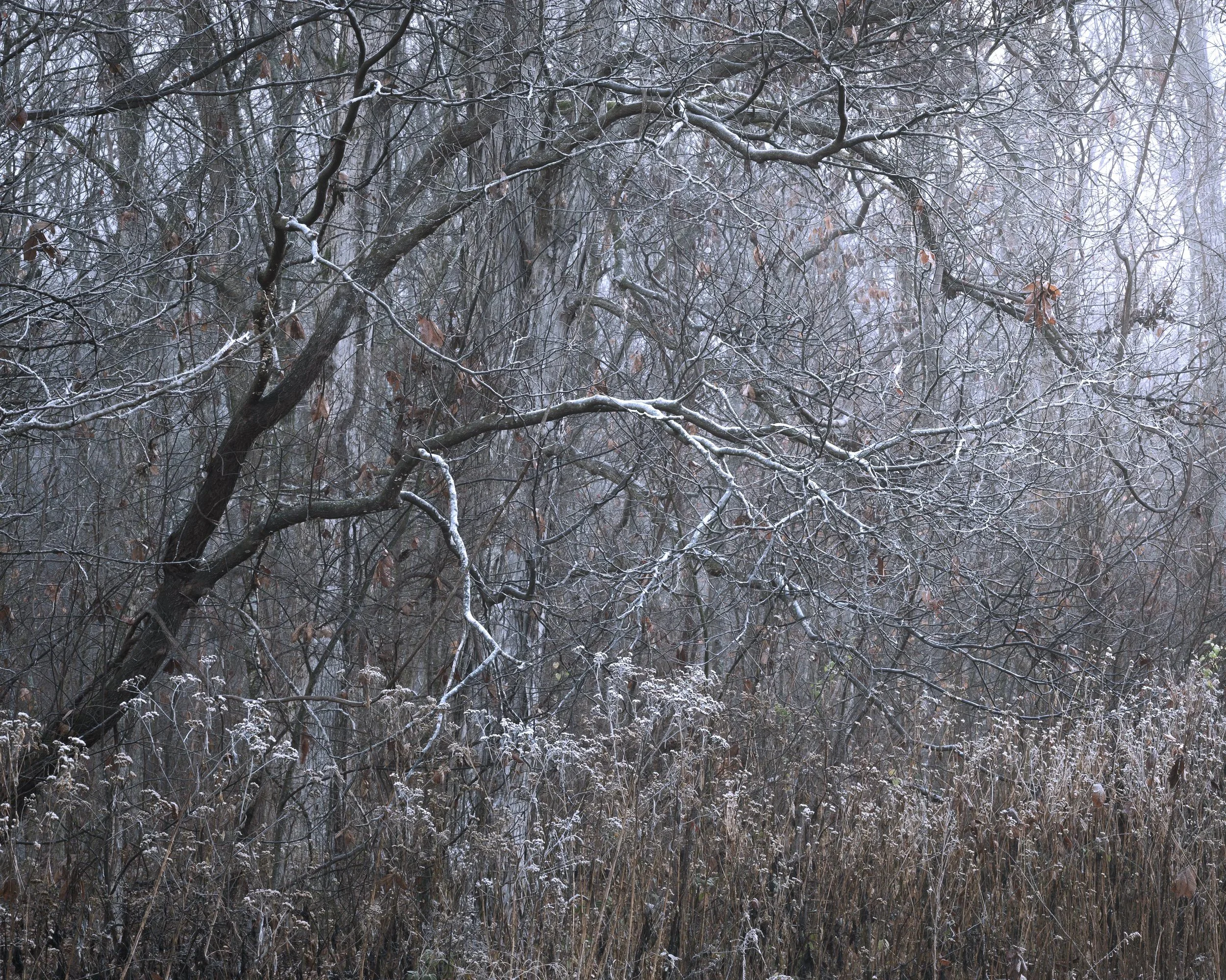 Foregone, 12/7/25