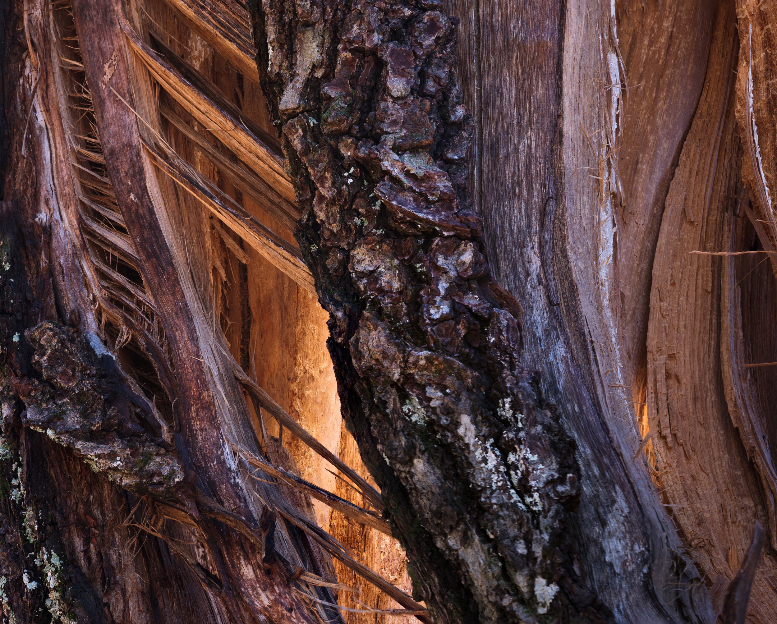 A Different Algorithm