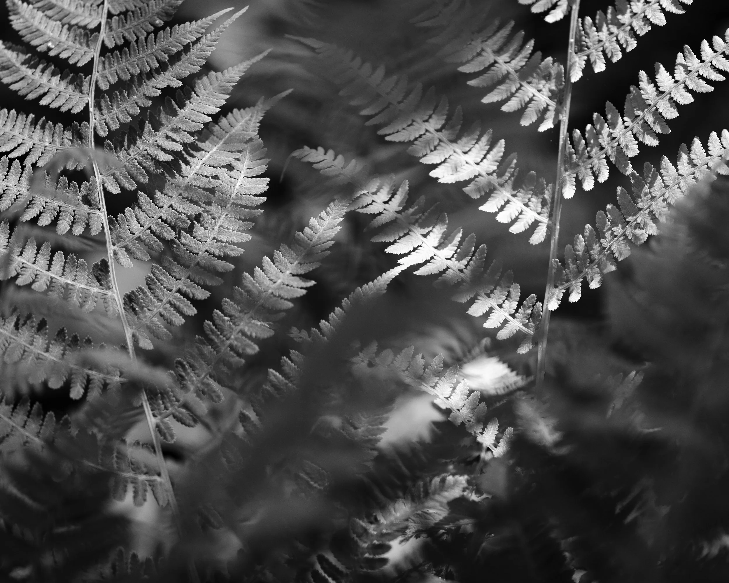 Field Notes, Vol. 20 (The underlying apparatus)