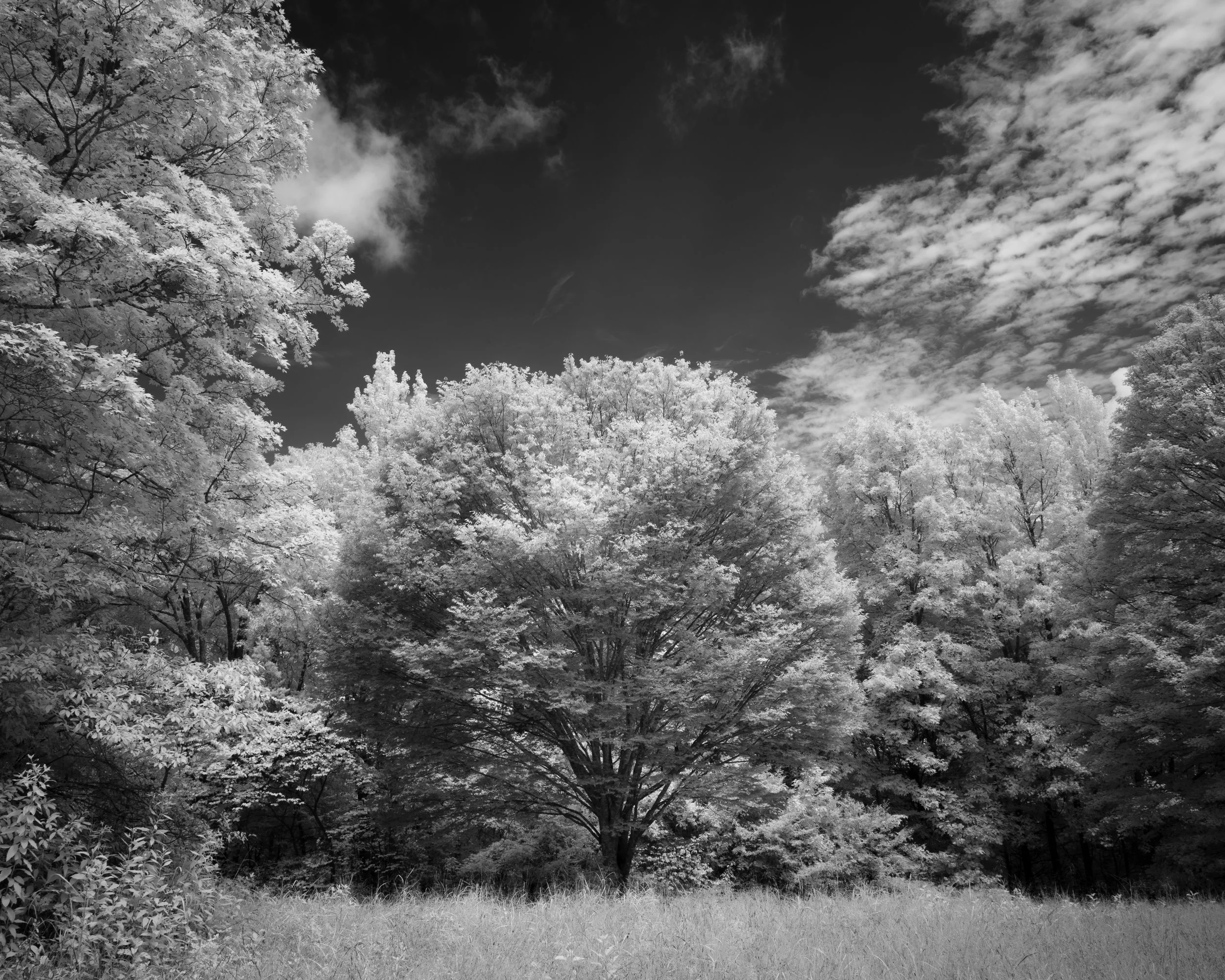 Walk in the Sky, 8/24/25