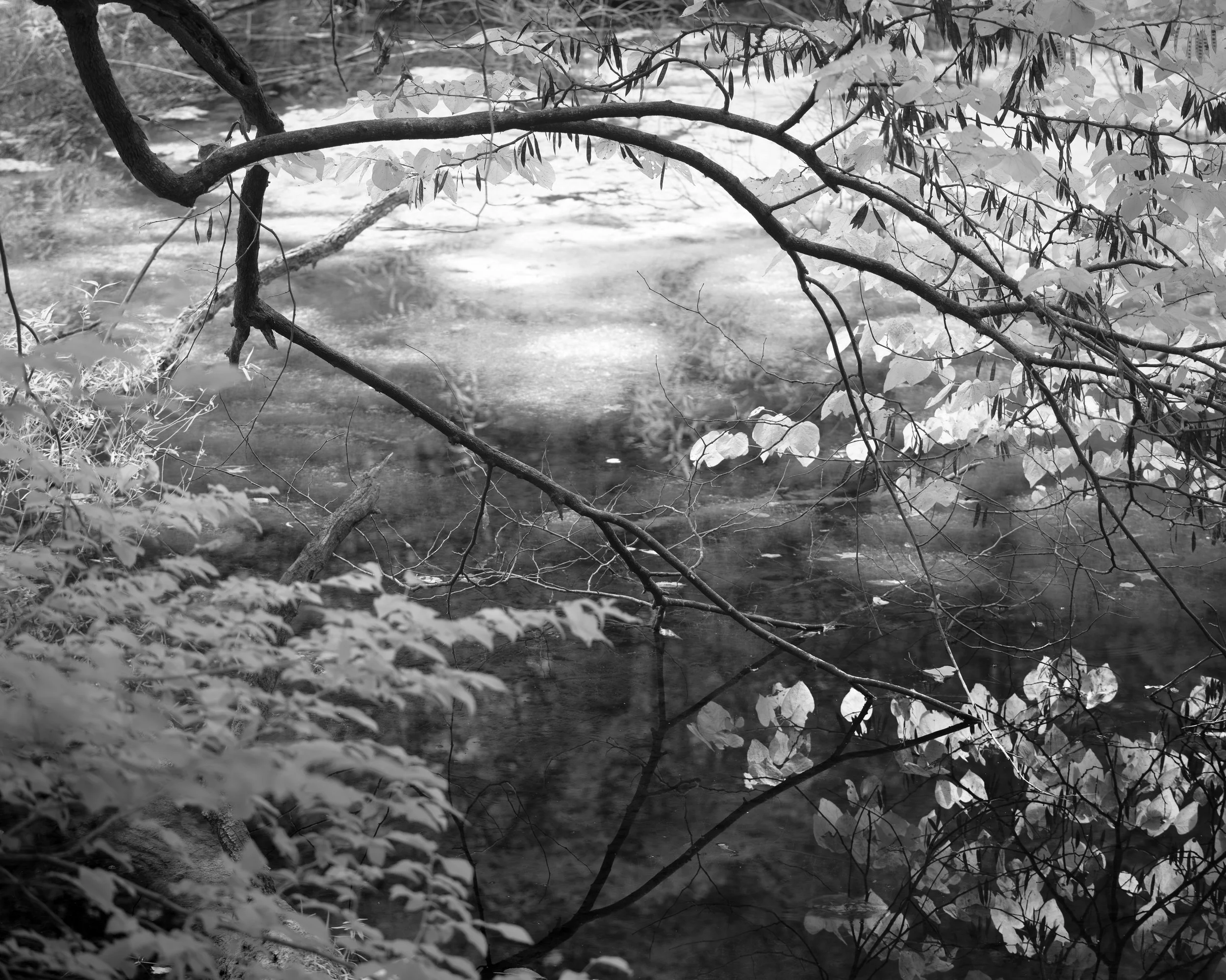 Distant Days, 8/24/25