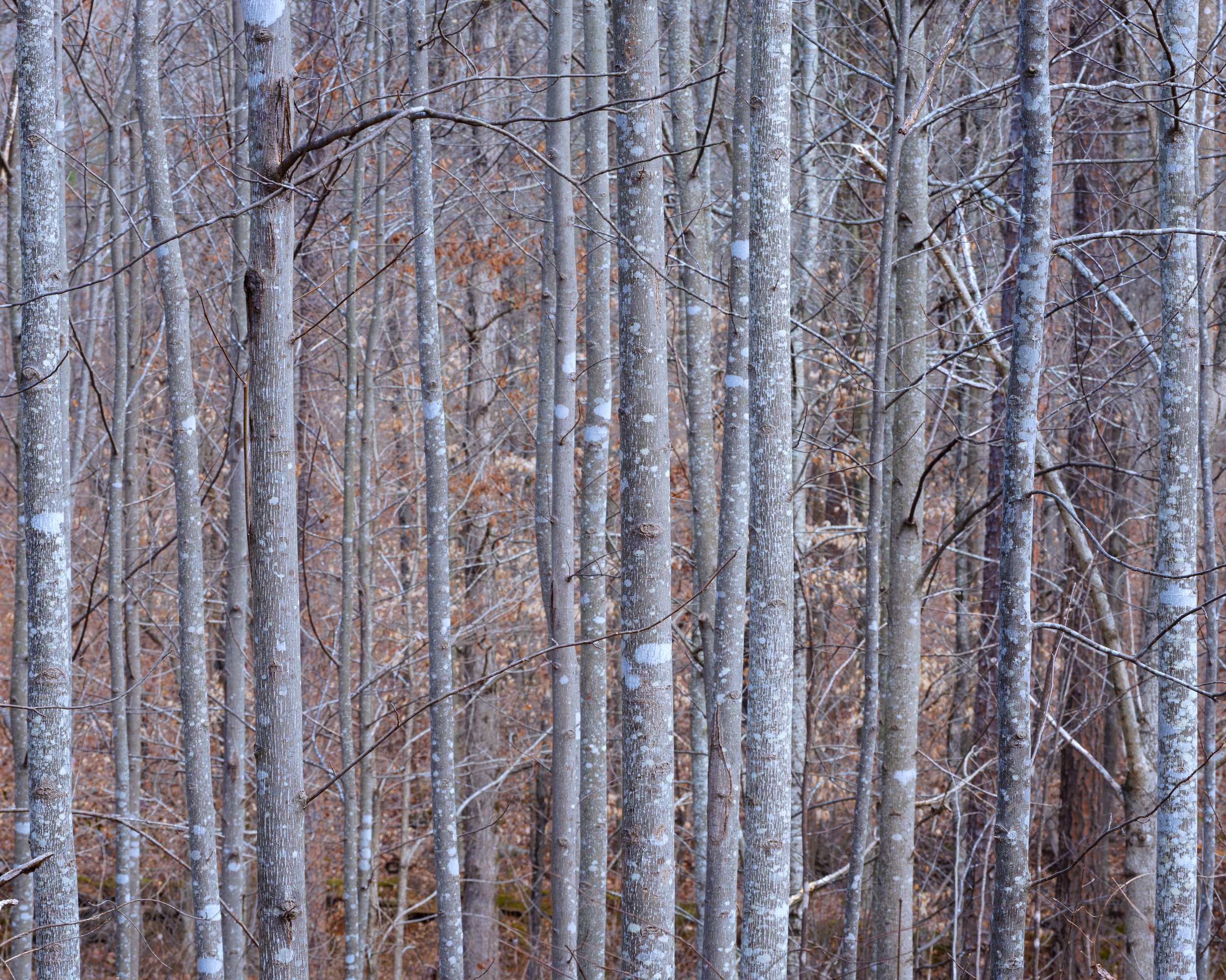 Steady-State, 2/23/26