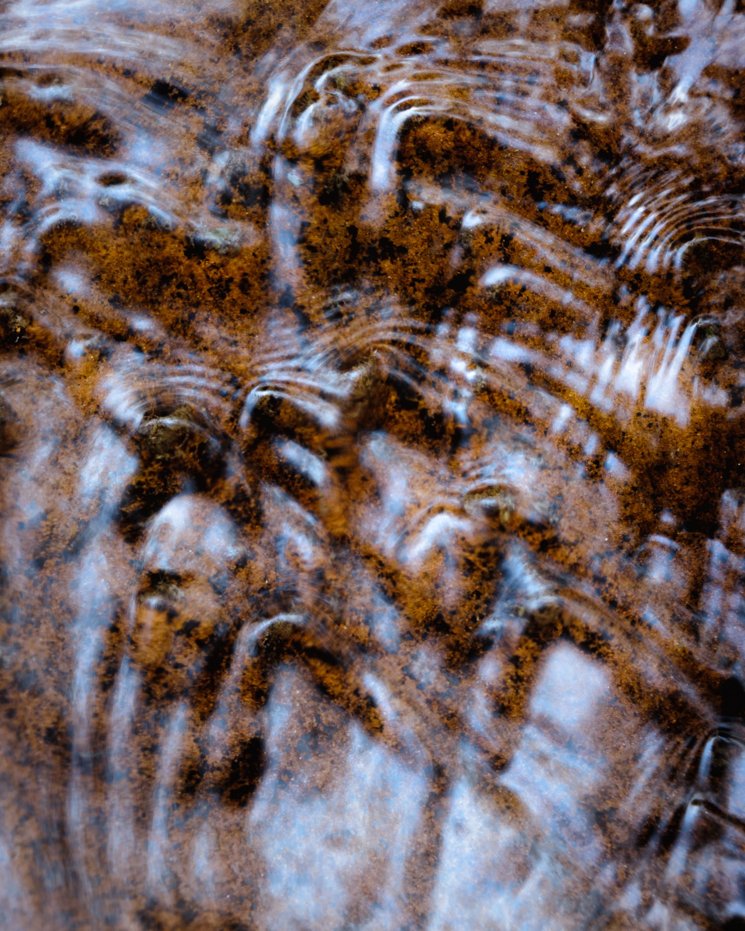 Sonorance, 7/24/25