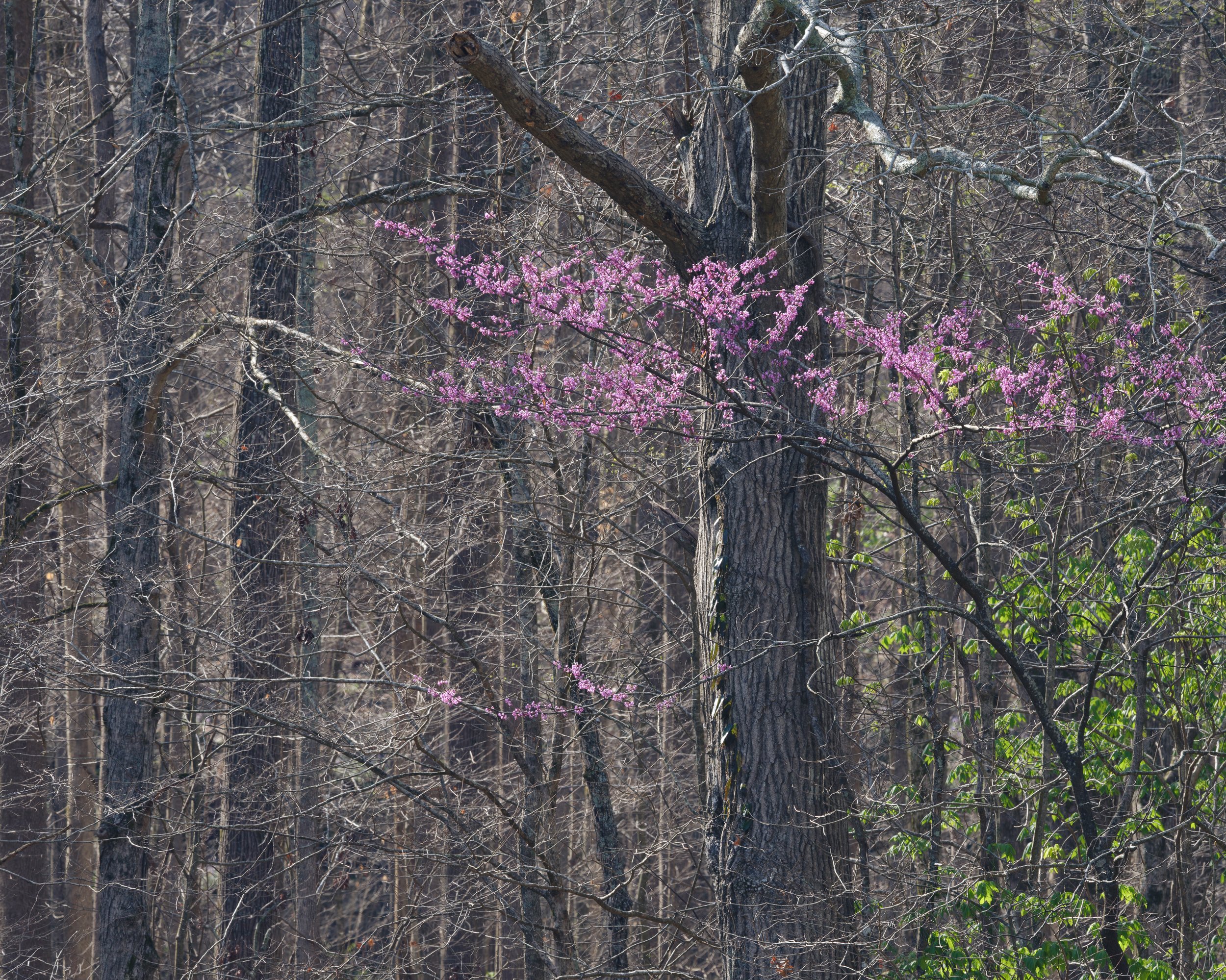 Ready for More, 3/19/26