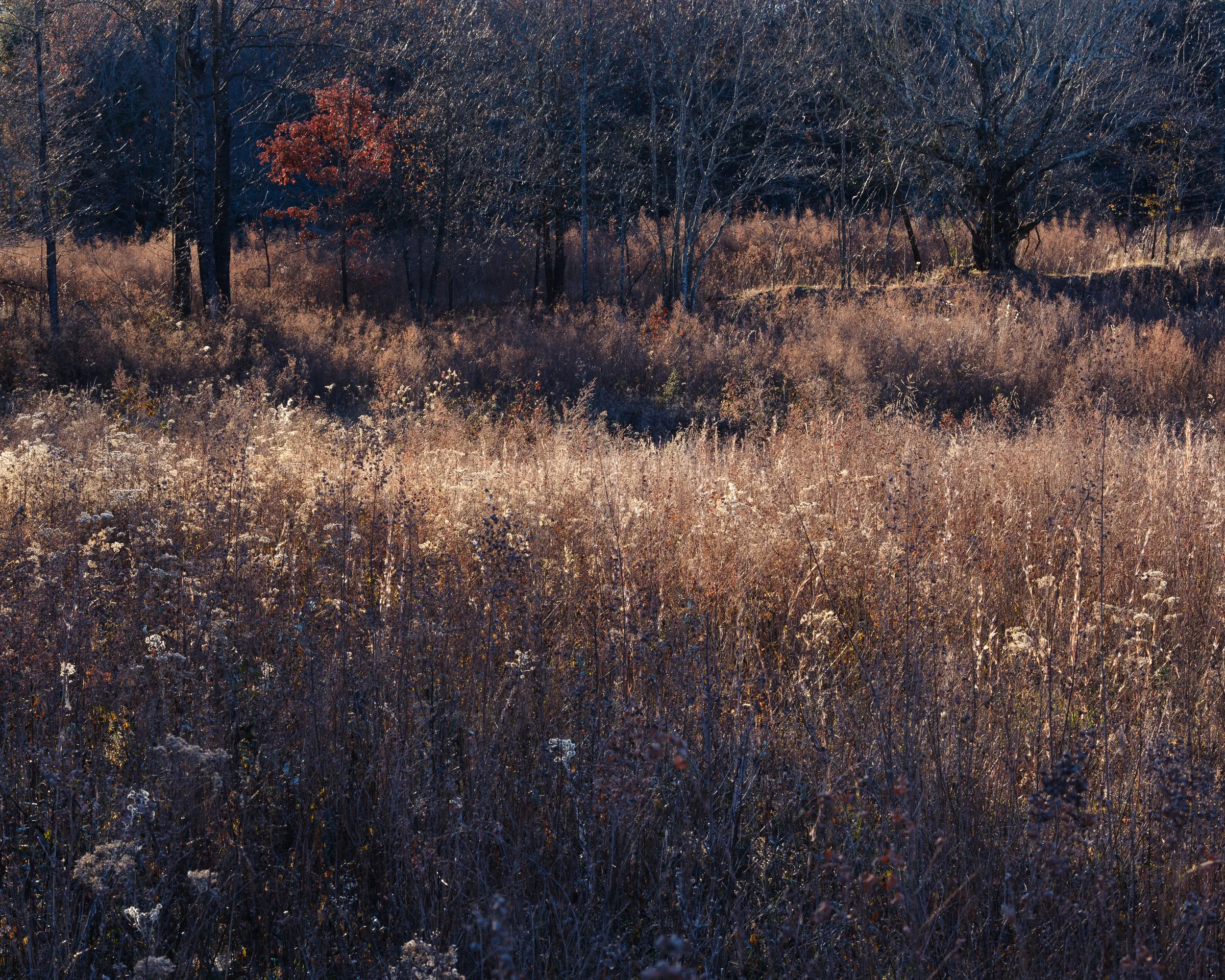 Time Will Tell, 11/17/25