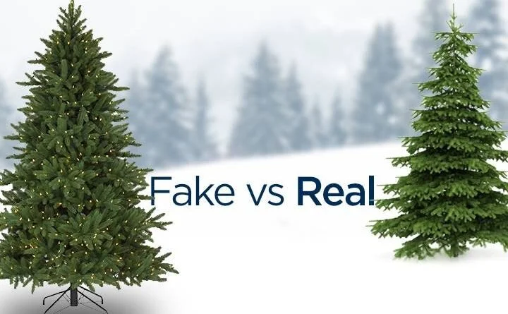 Real vs. Artificial Christmas Trees. Which is Greener?