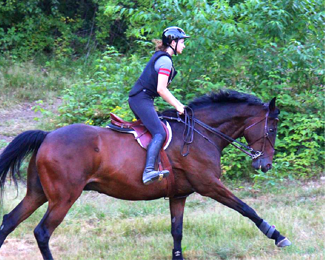 Adult Horse Camp: Unleash Your Riding Passion Today