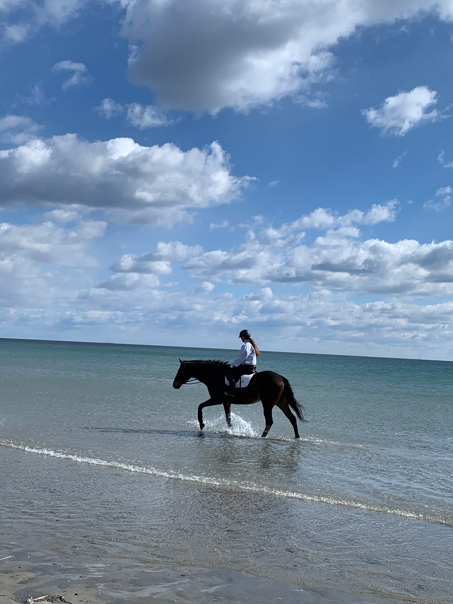 Beach.jpg