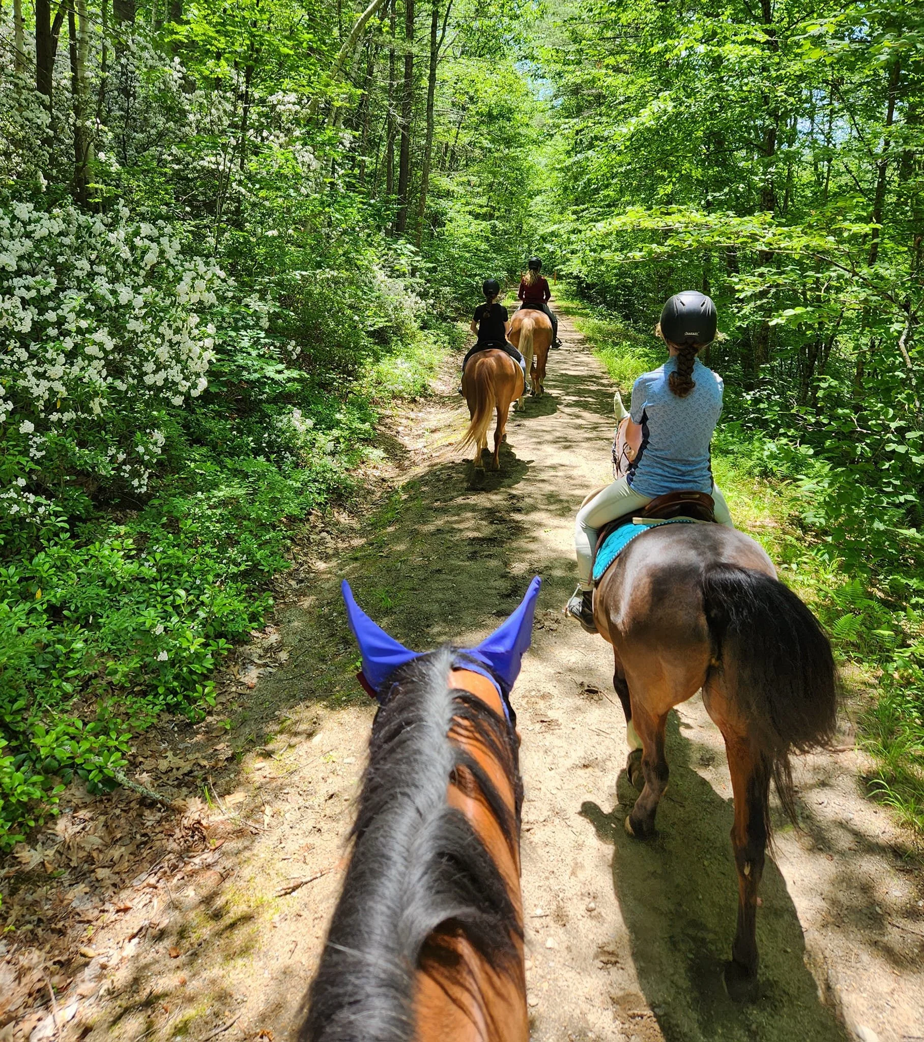Advanced Trail Camp - 2 Day