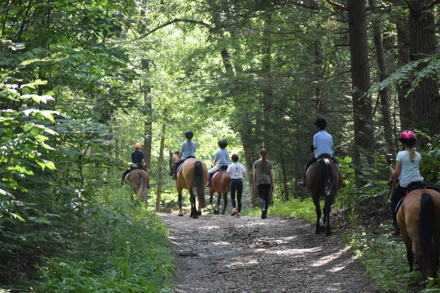 Novice+ Trail Camp