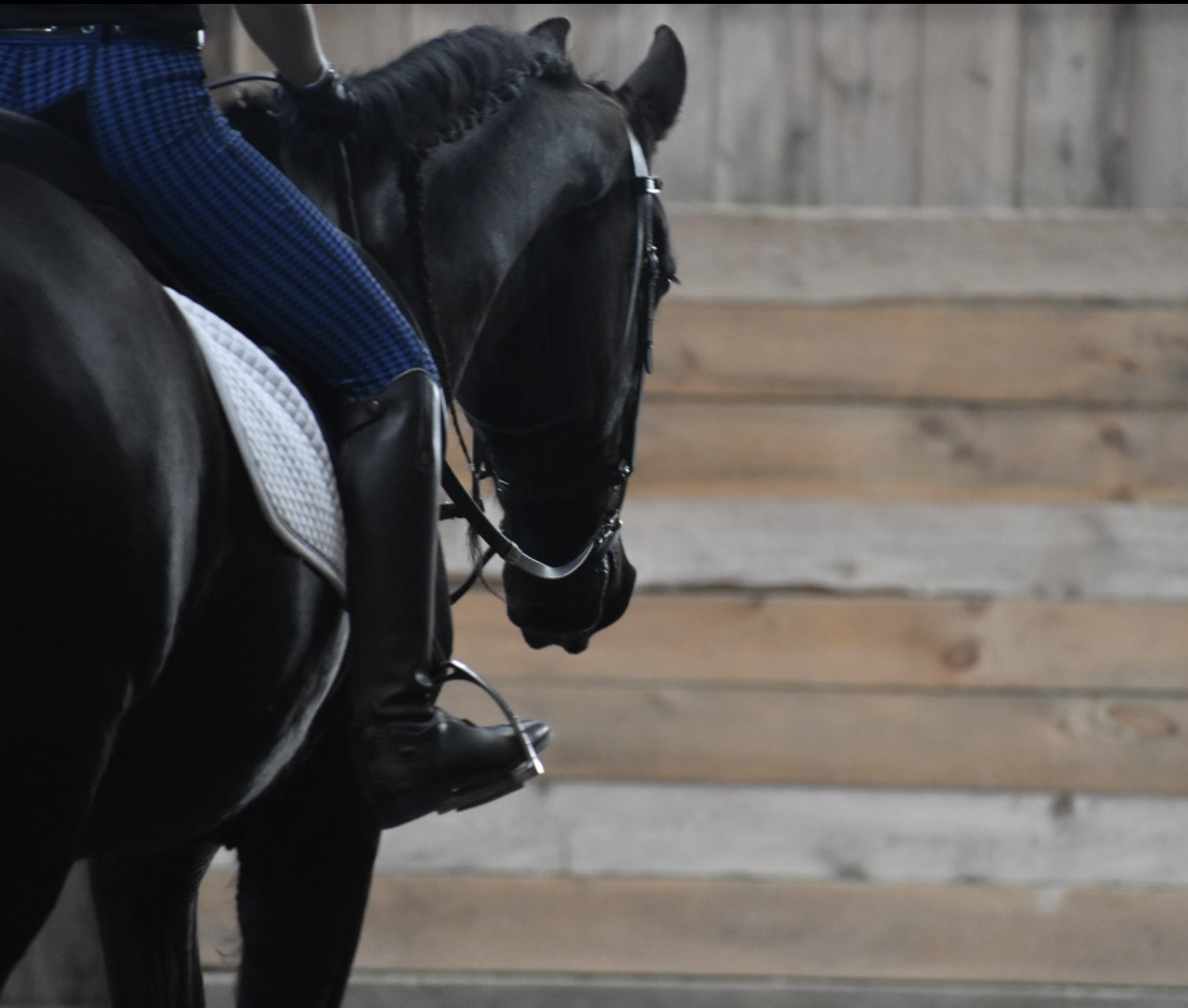 Screen Shot 2025-12-26 at 4.08.55 PM.png