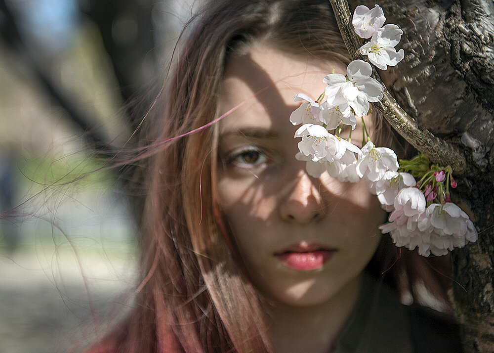 LaurenCherryBlossoms©ShelaghHoward.jpg
