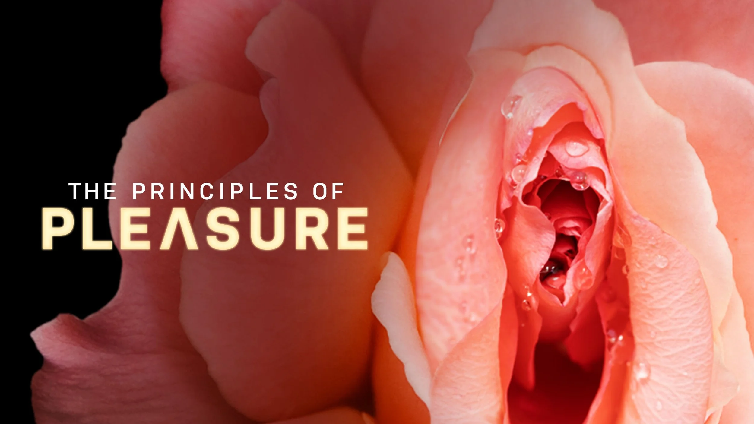 Principles-of-Pleasure.jpg