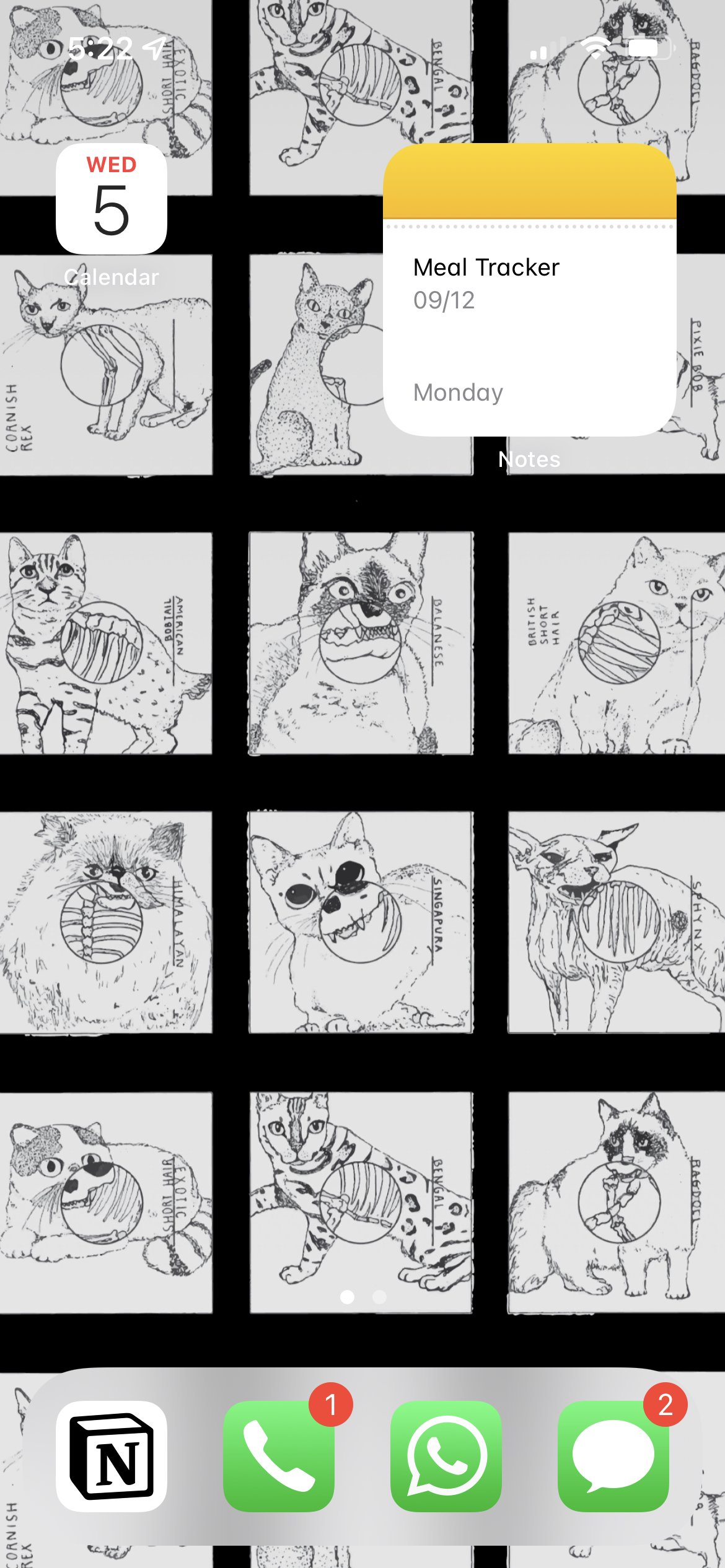 iphone home screen screenshot with catscan mobile wallpaper