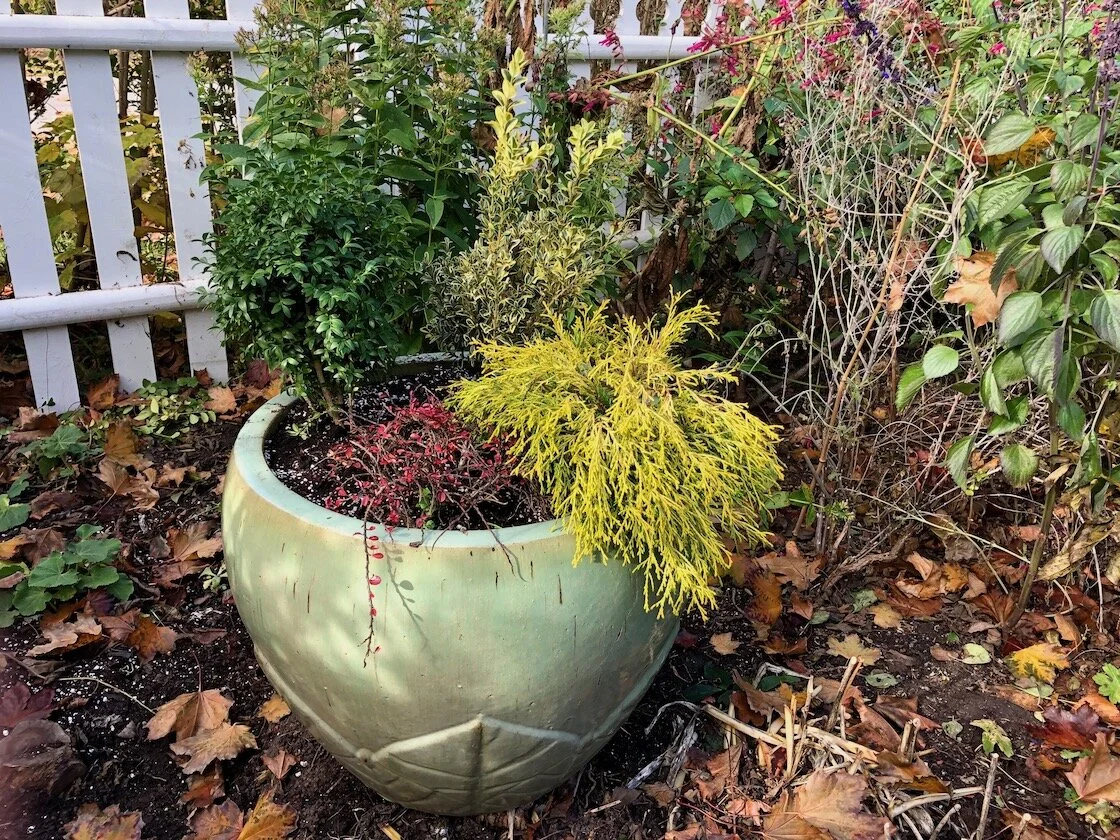 5 planted container.jpeg