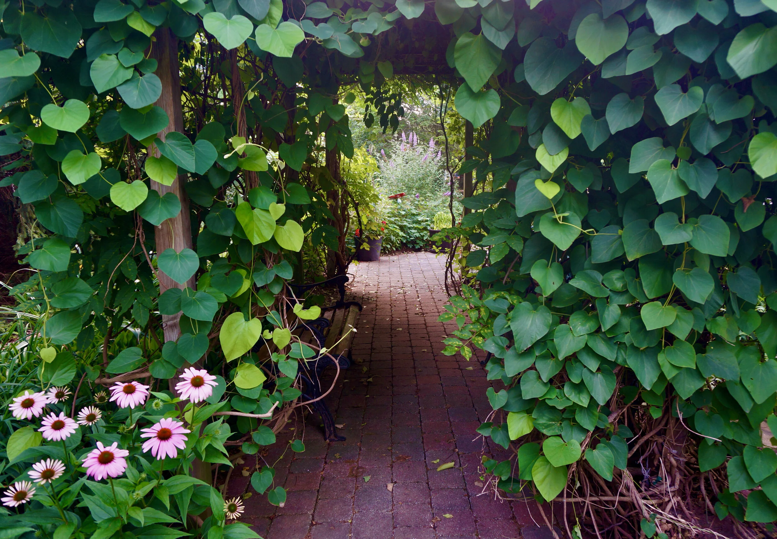 Wander Your Garden At Night On A Magical Pathway Of Glowing Stones