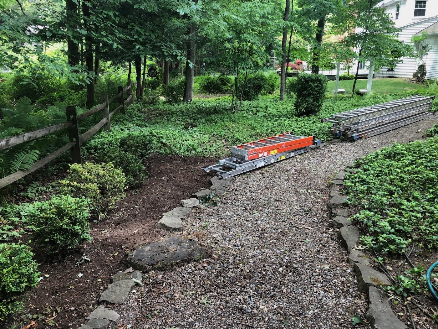 Tough garden conditions? Build a reliable plant palette that works