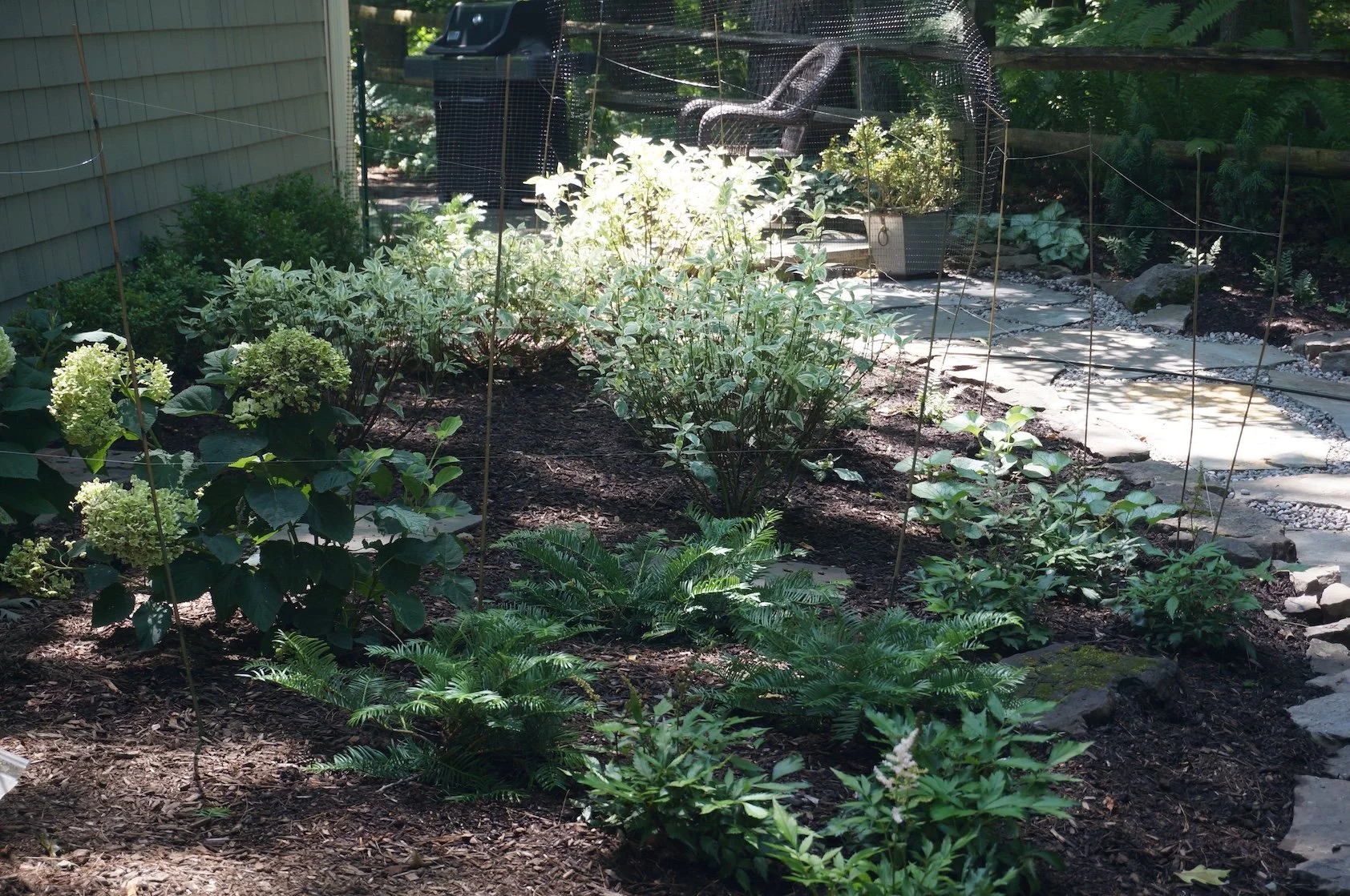 after bed woodland planting