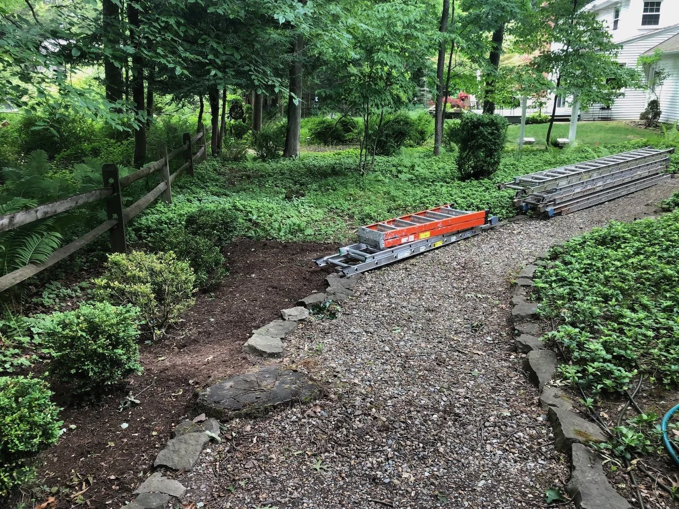 before planting photo