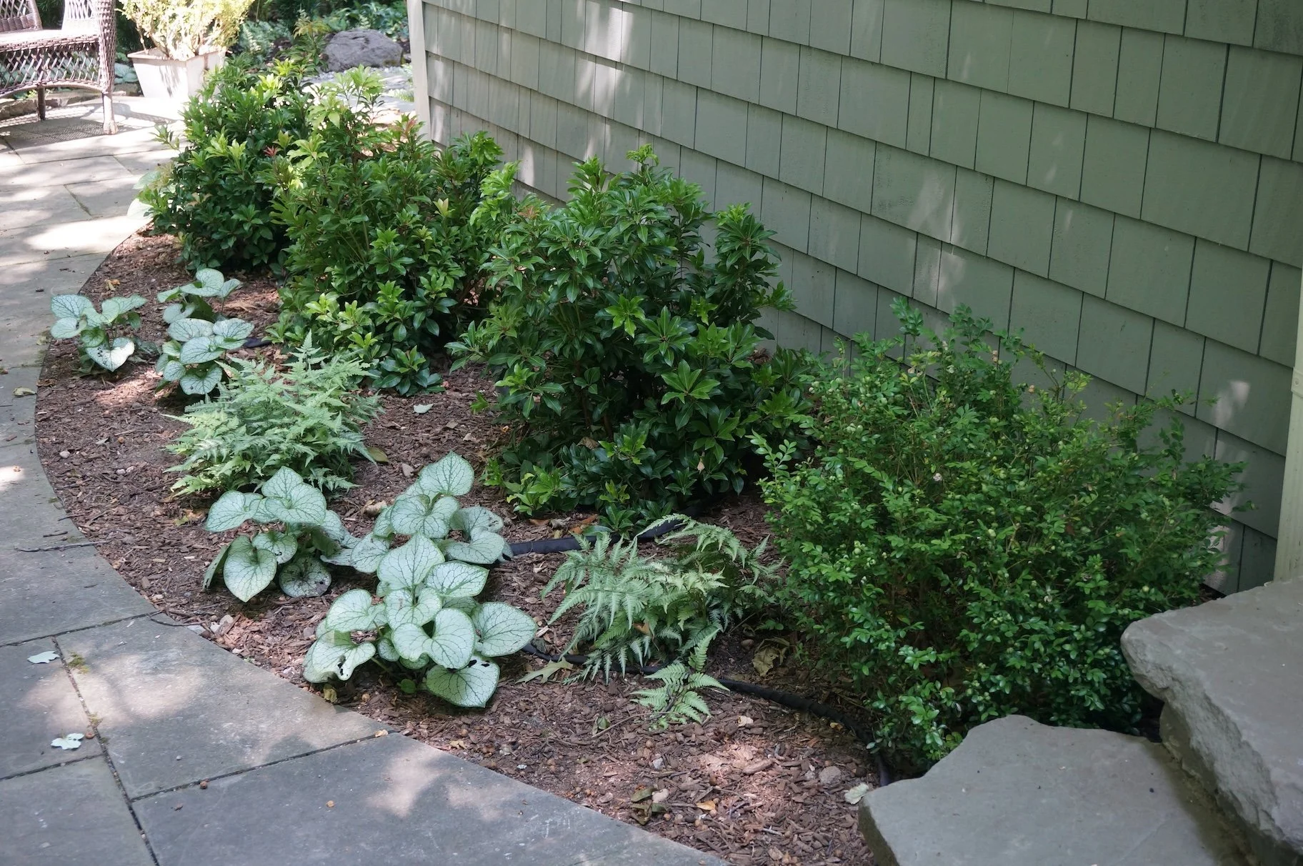 corner bed, woodland