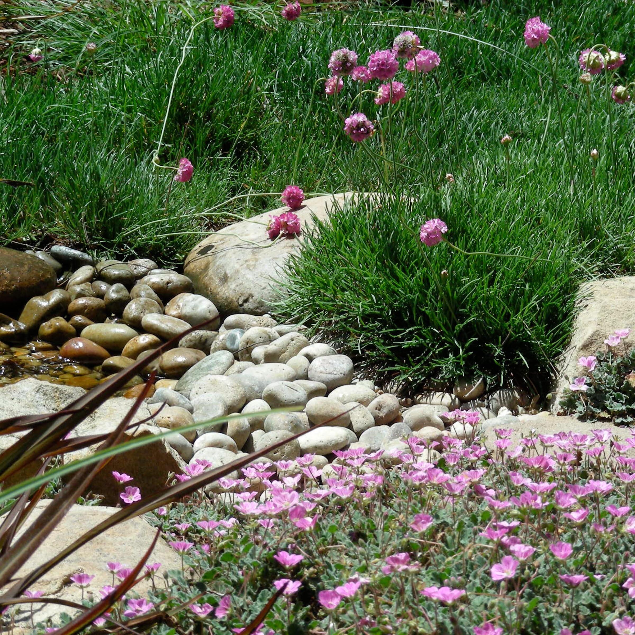 Avid birders, the owners asked for a place where birds could drink and bathe. Pink, done two ways.