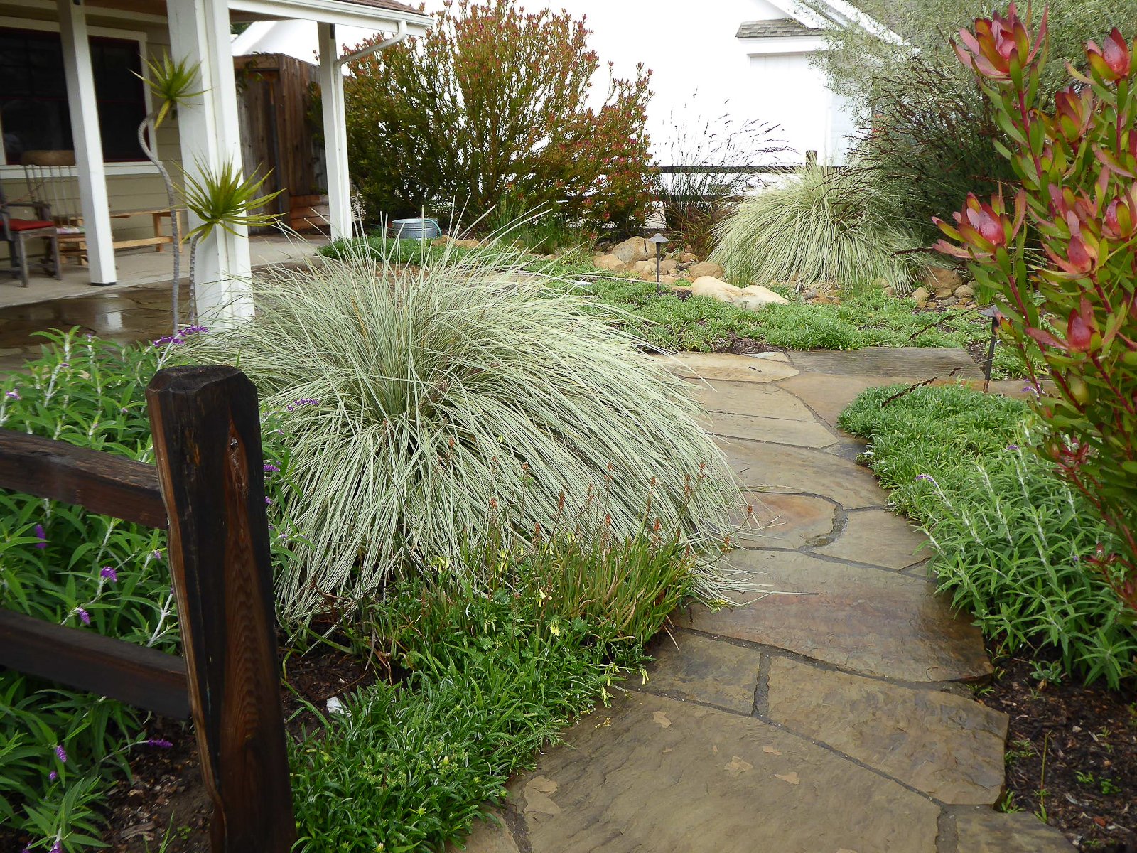 The view from the driveway carries the eye to the rainwater infiltration area.