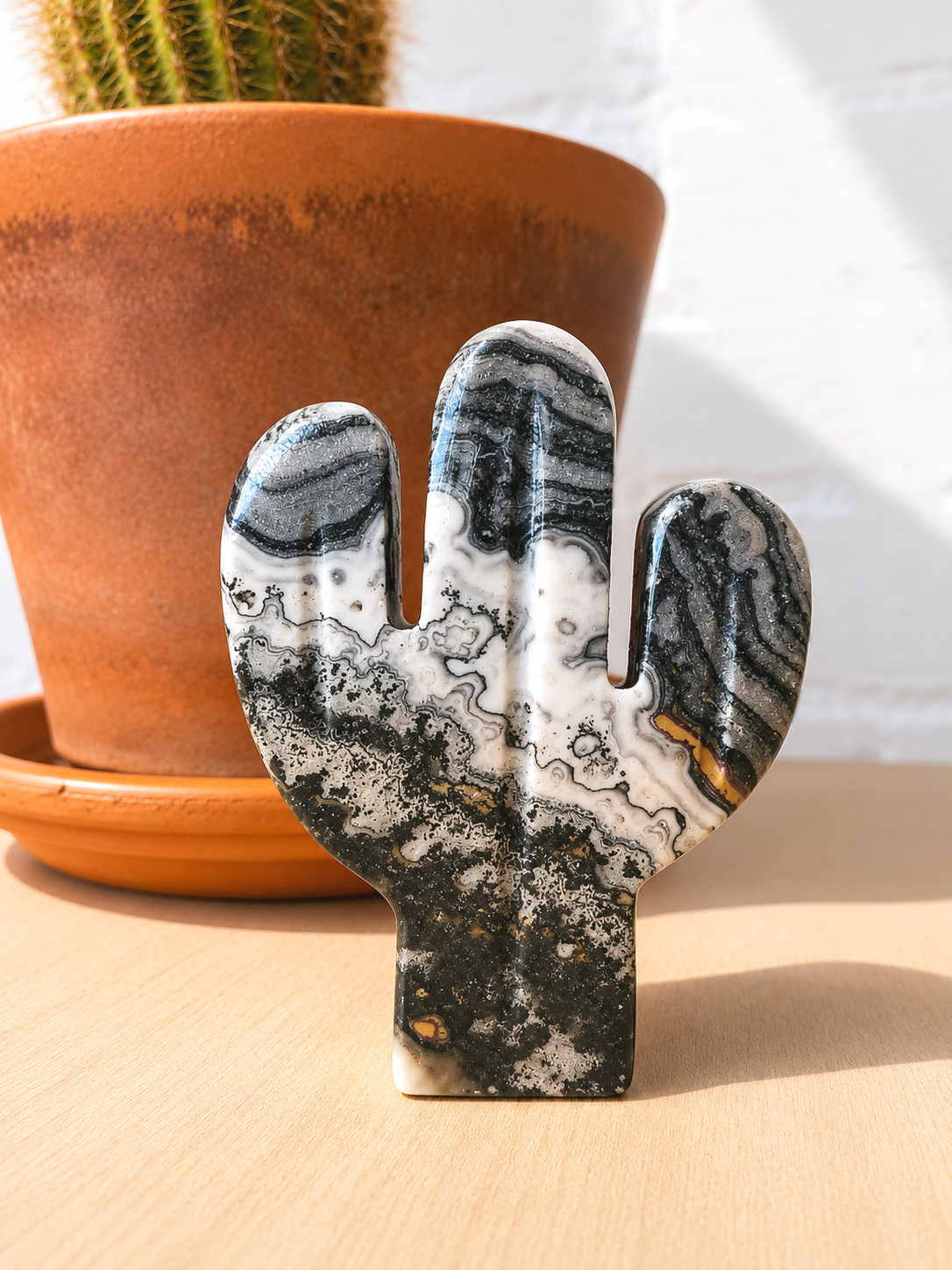 Onyx Cactus Dark