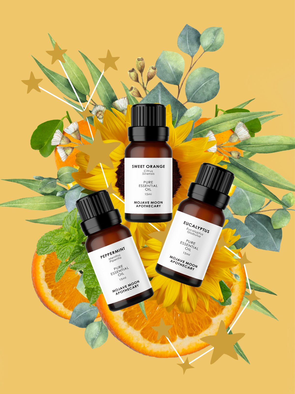 Focus Essential Oil Trio