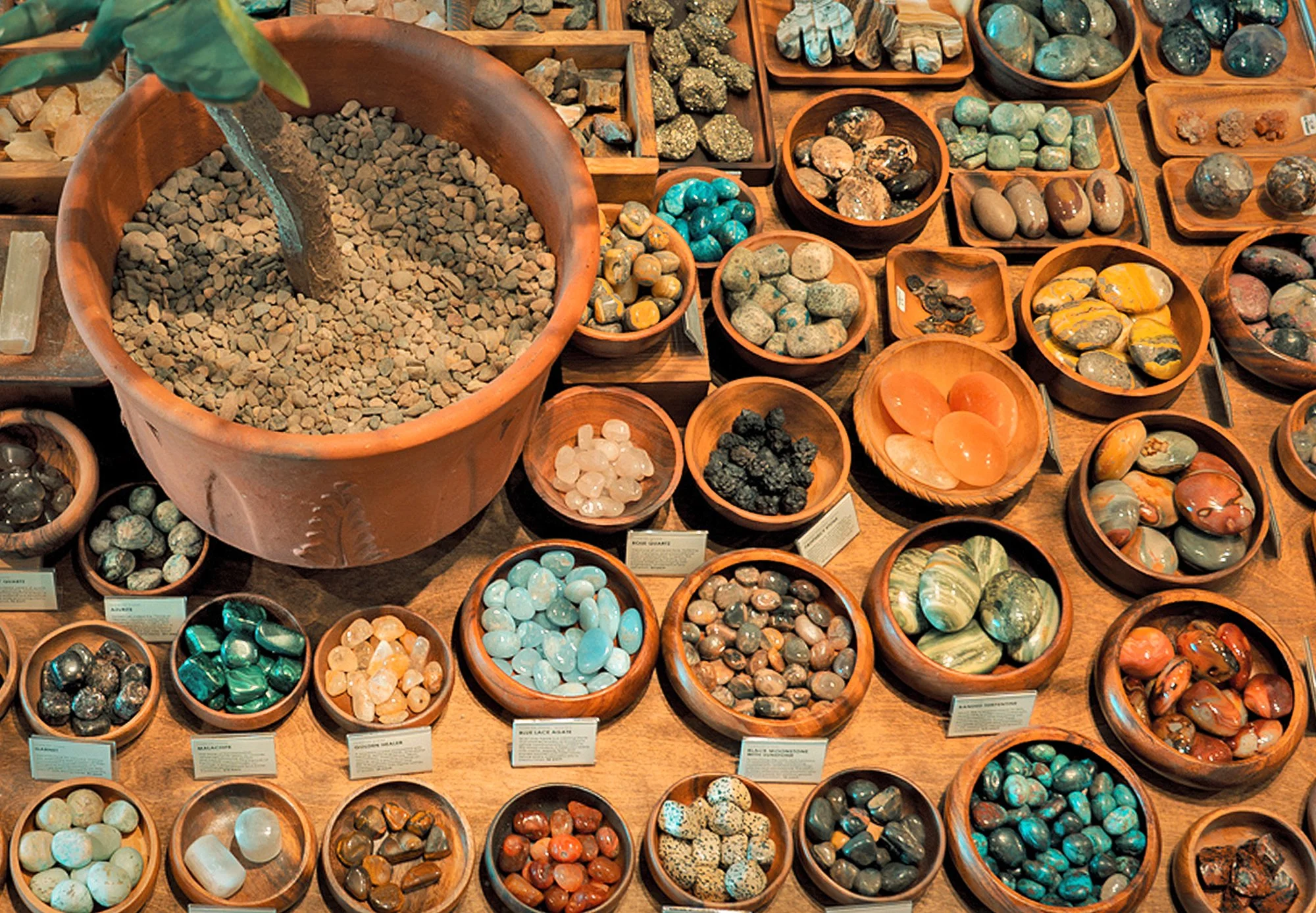 A collection of polished crystals, mineral specimens, and gemstones displayed at Mojave Moon Apothecary near Joshua Tree National Park.